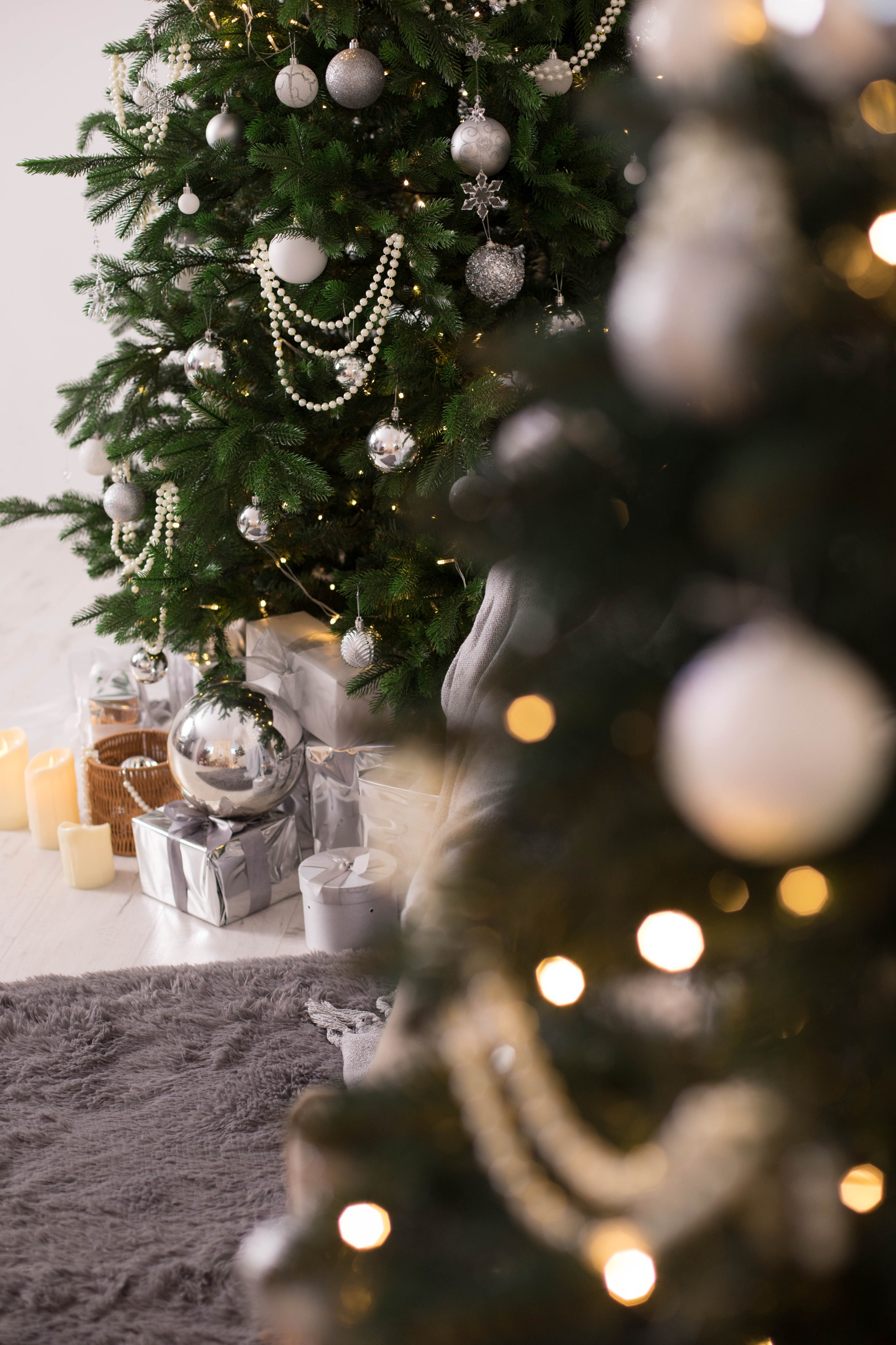 Рока (Roka). Фотограф г. Хабаровск. Семейные и индивидуальные съёмки