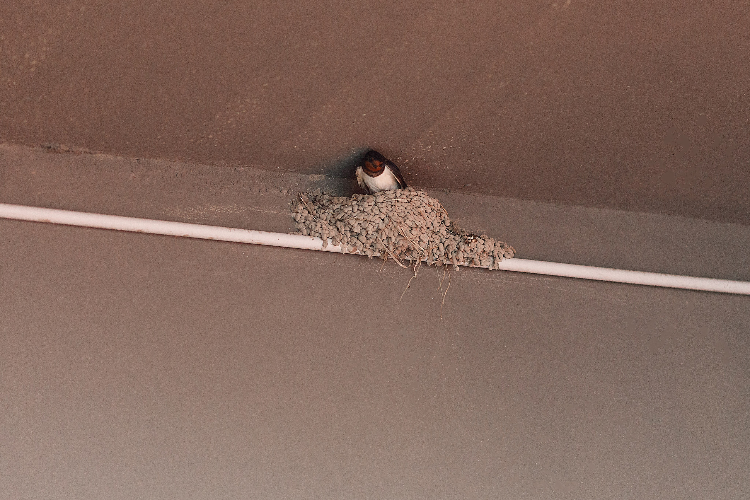 Проект «366»|2024|Фото каждый день. LENA GRACE photographer ||ЛЕНА ГРЭЙС фотограф