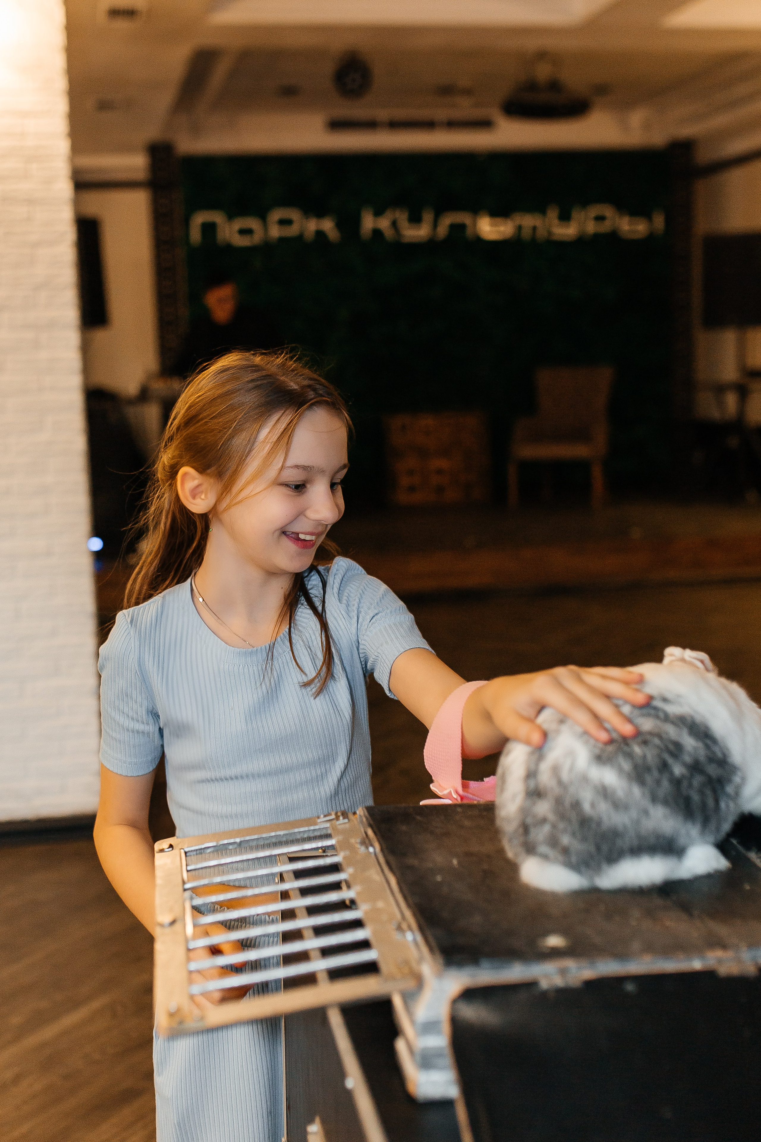 Сакуре 1 годик