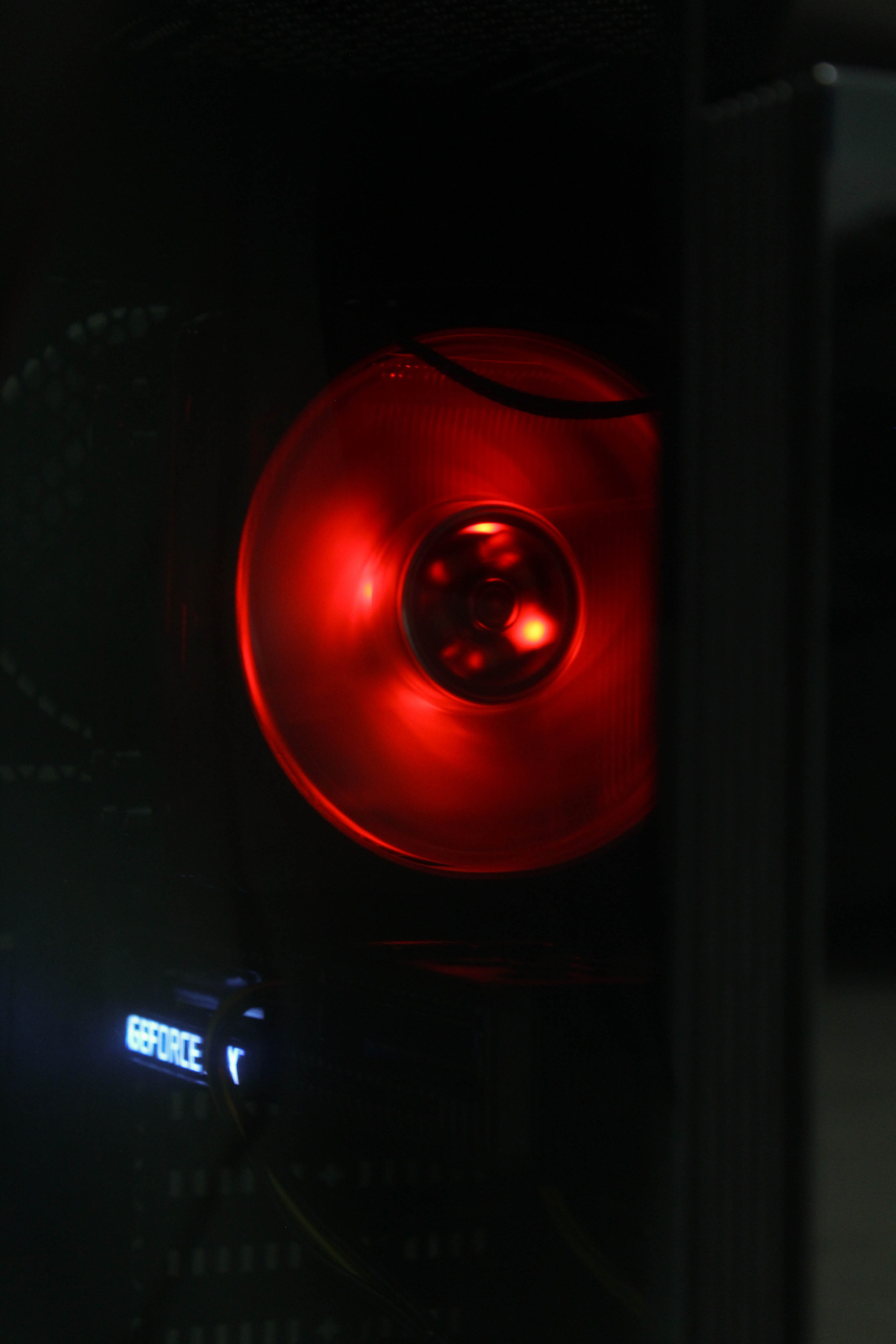 Polycup. Карпогоры, Санкт-Петербург