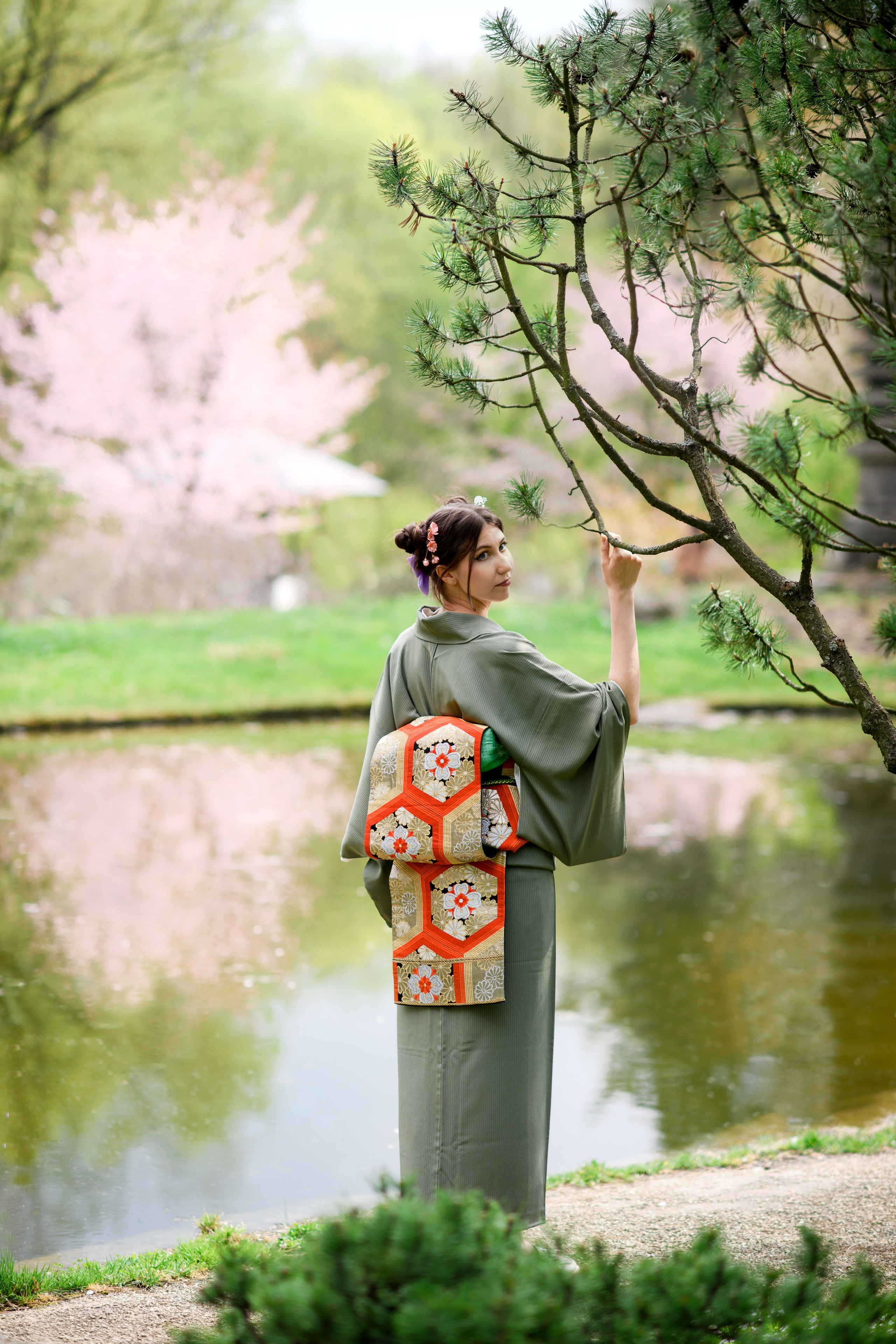 Любование цветением сакуры в Японском саду. Главная
