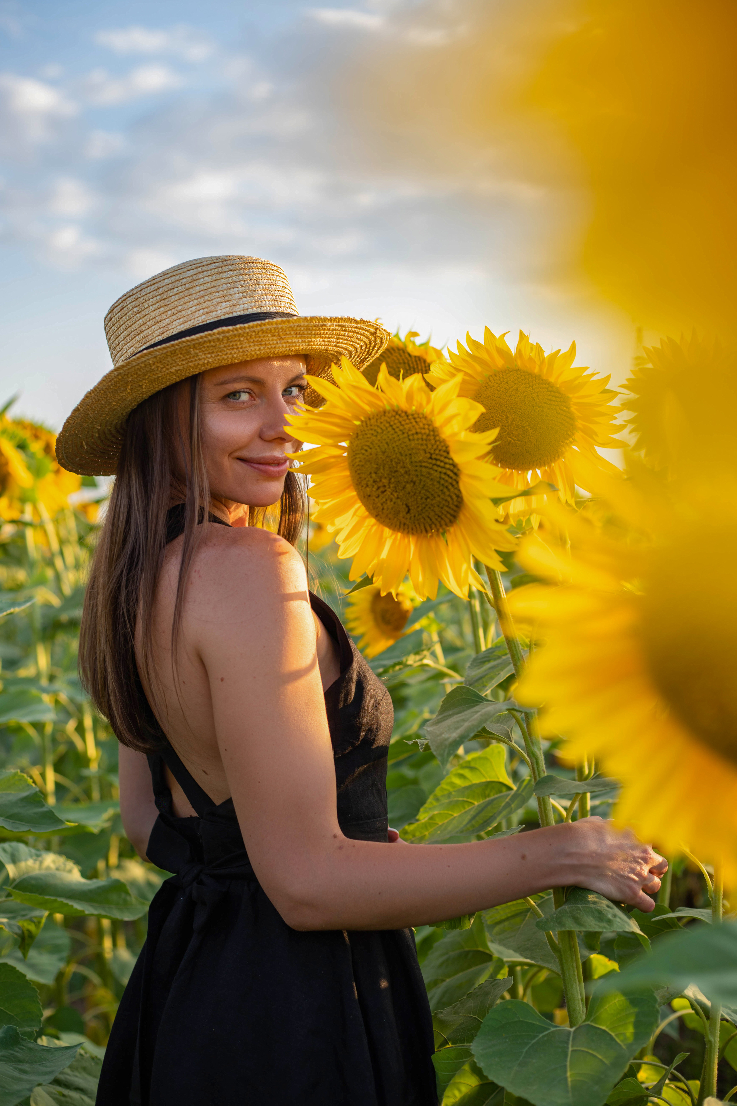 S U N F L O W E R. Фотограф Немазенко Ольга