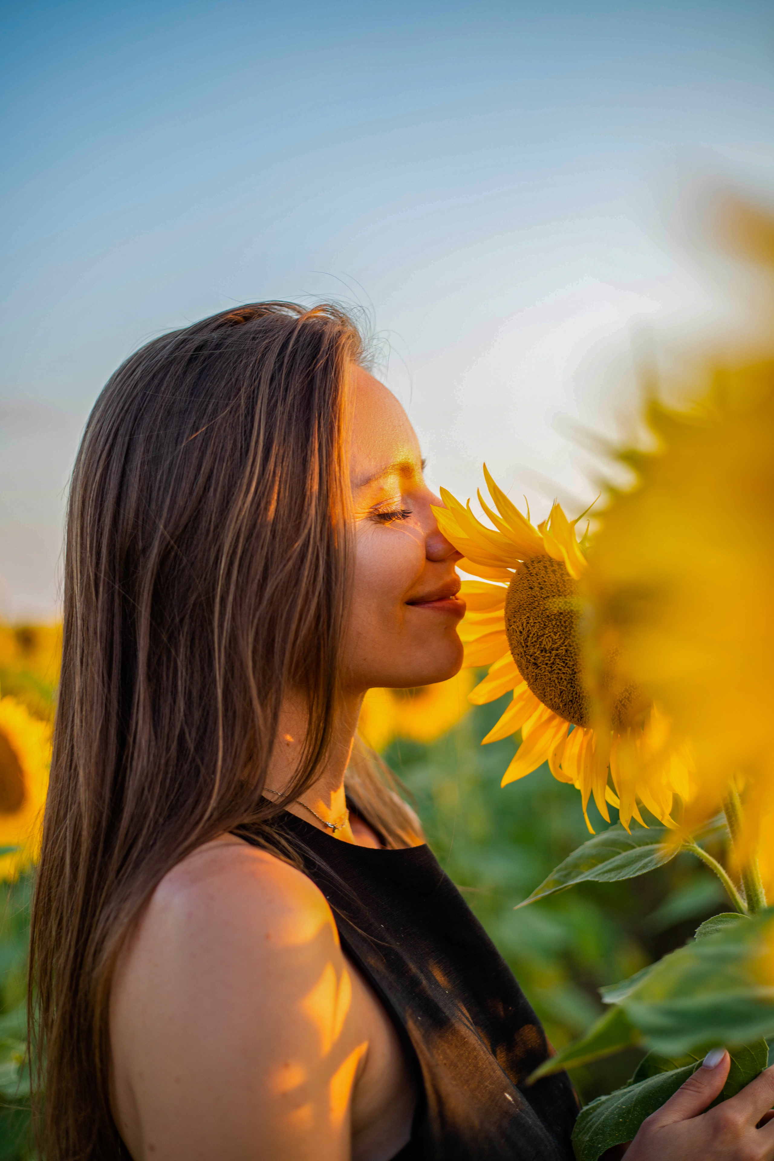 S U N F L O W E R. Фотограф Немазенко Ольга