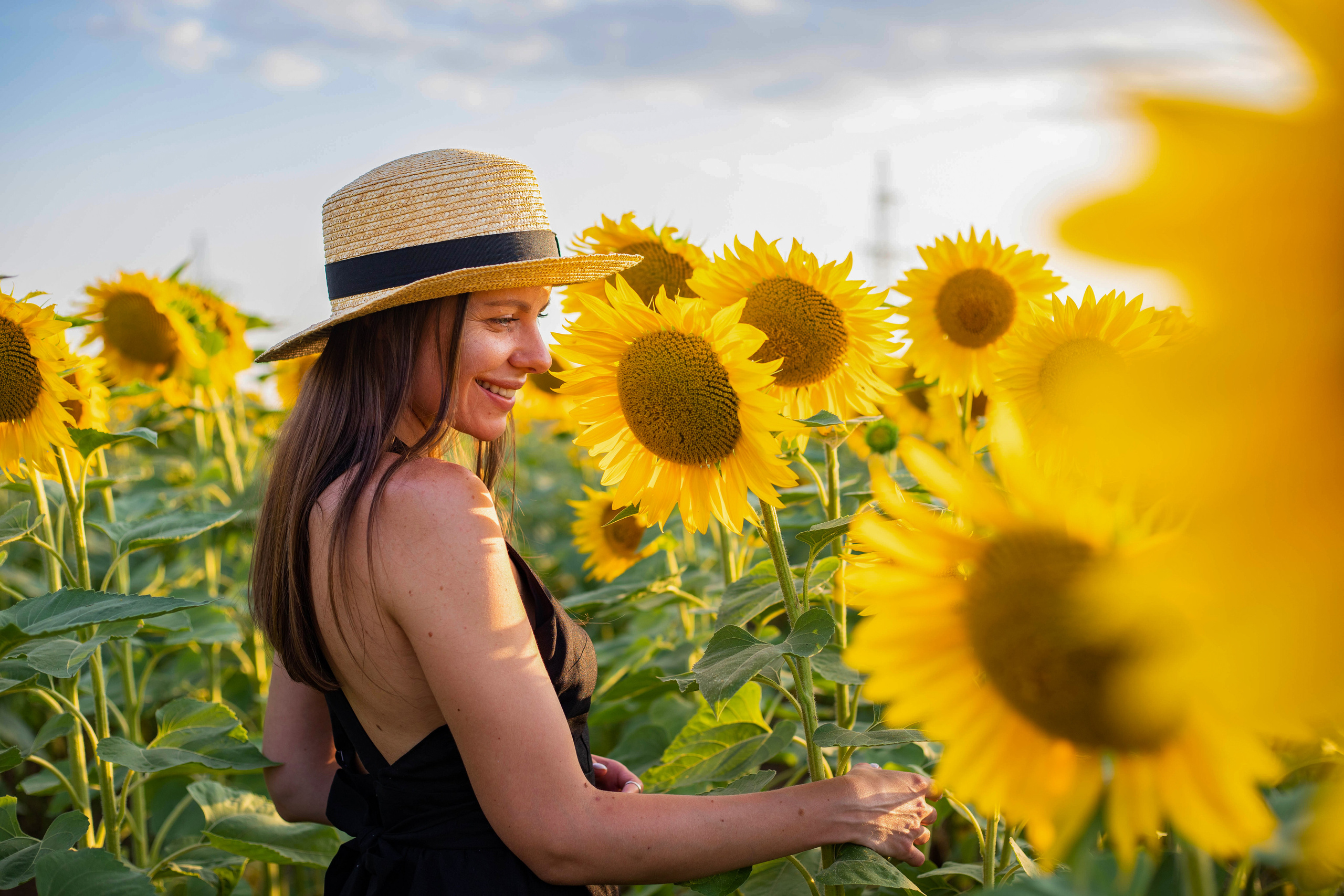 S U N F L O W E R. Фотограф Немазенко Ольга