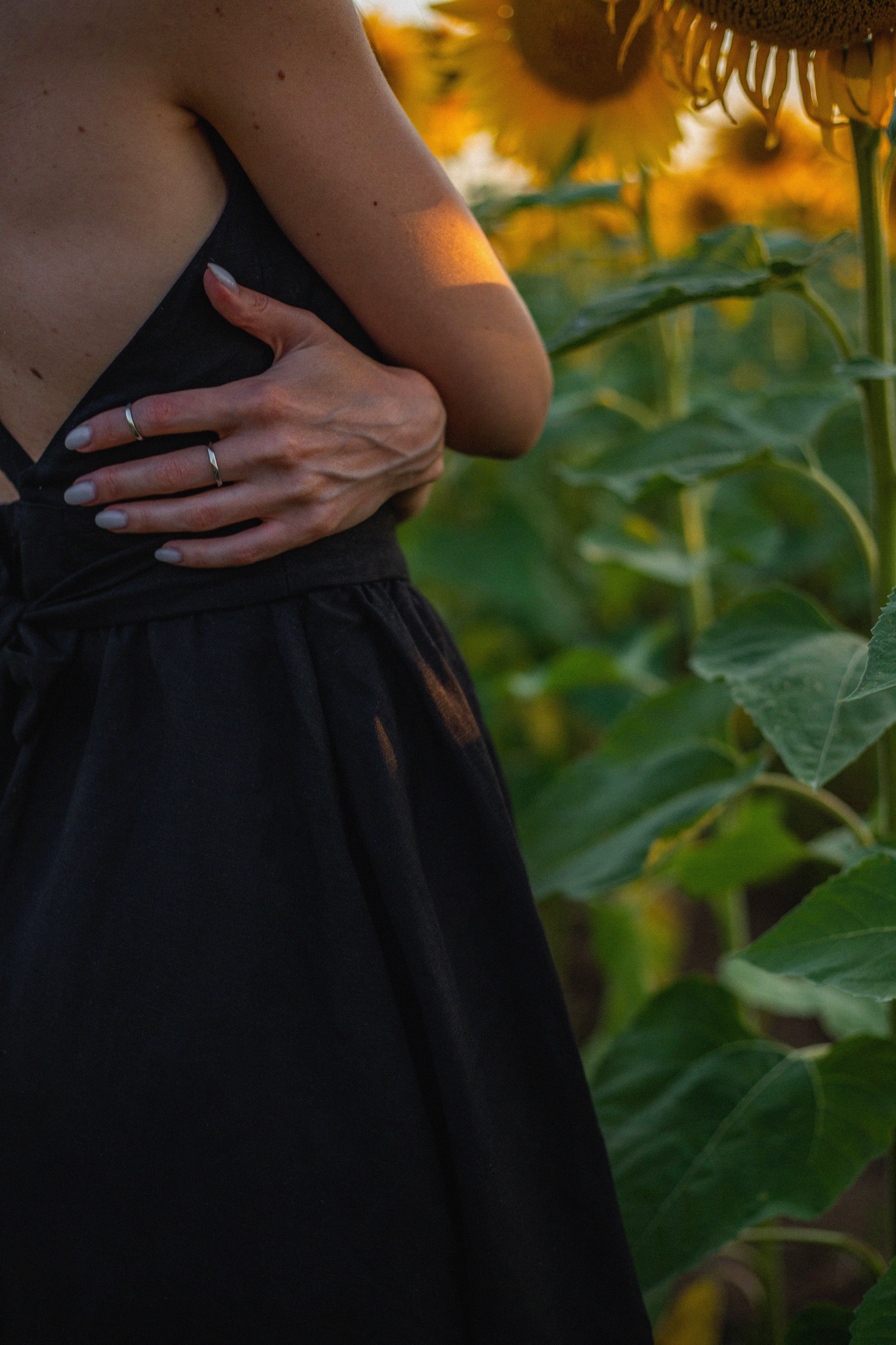 S U N F L O W E R. Фотограф Немазенко Ольга