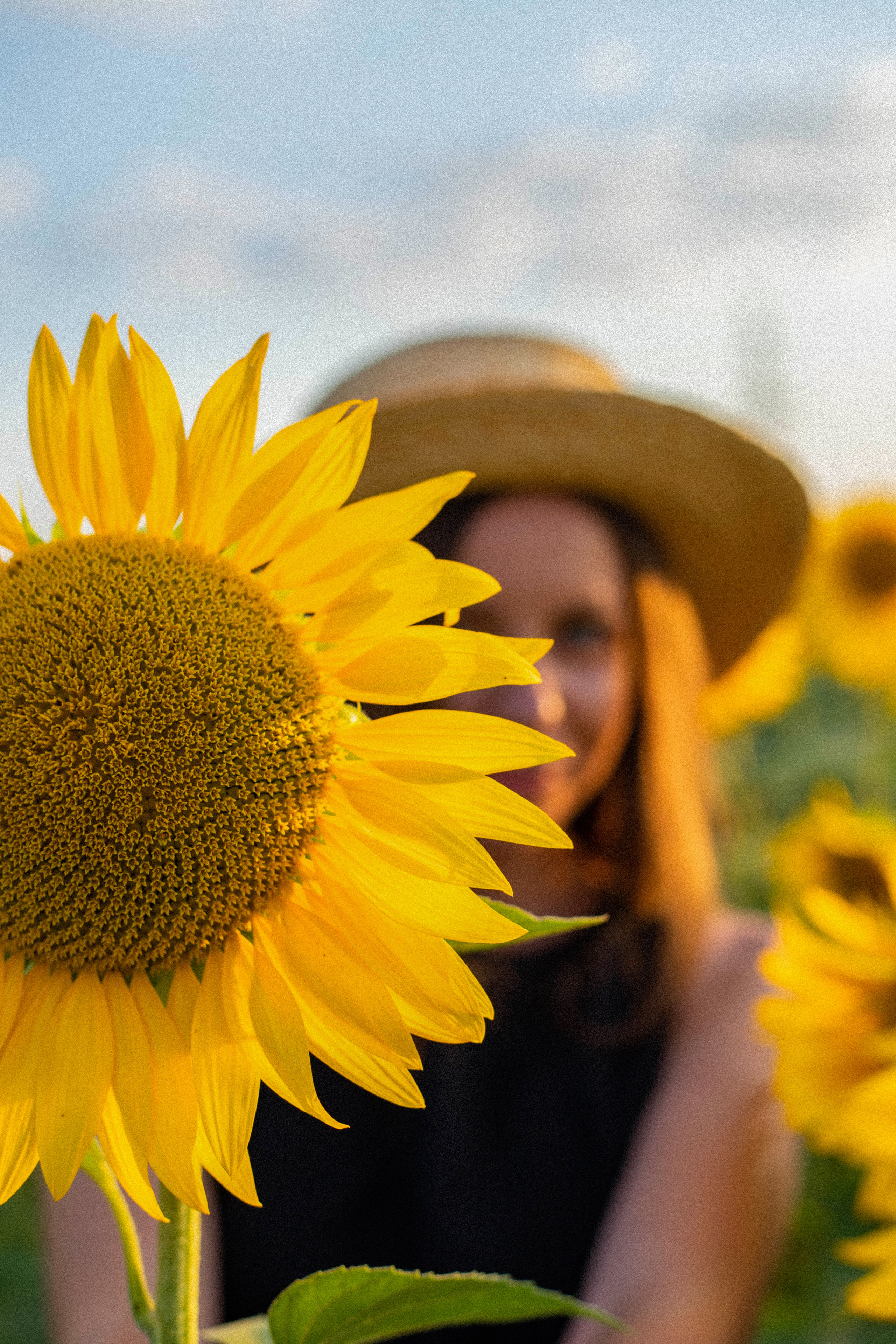 S U N F L O W E R. Фотограф Немазенко Ольга