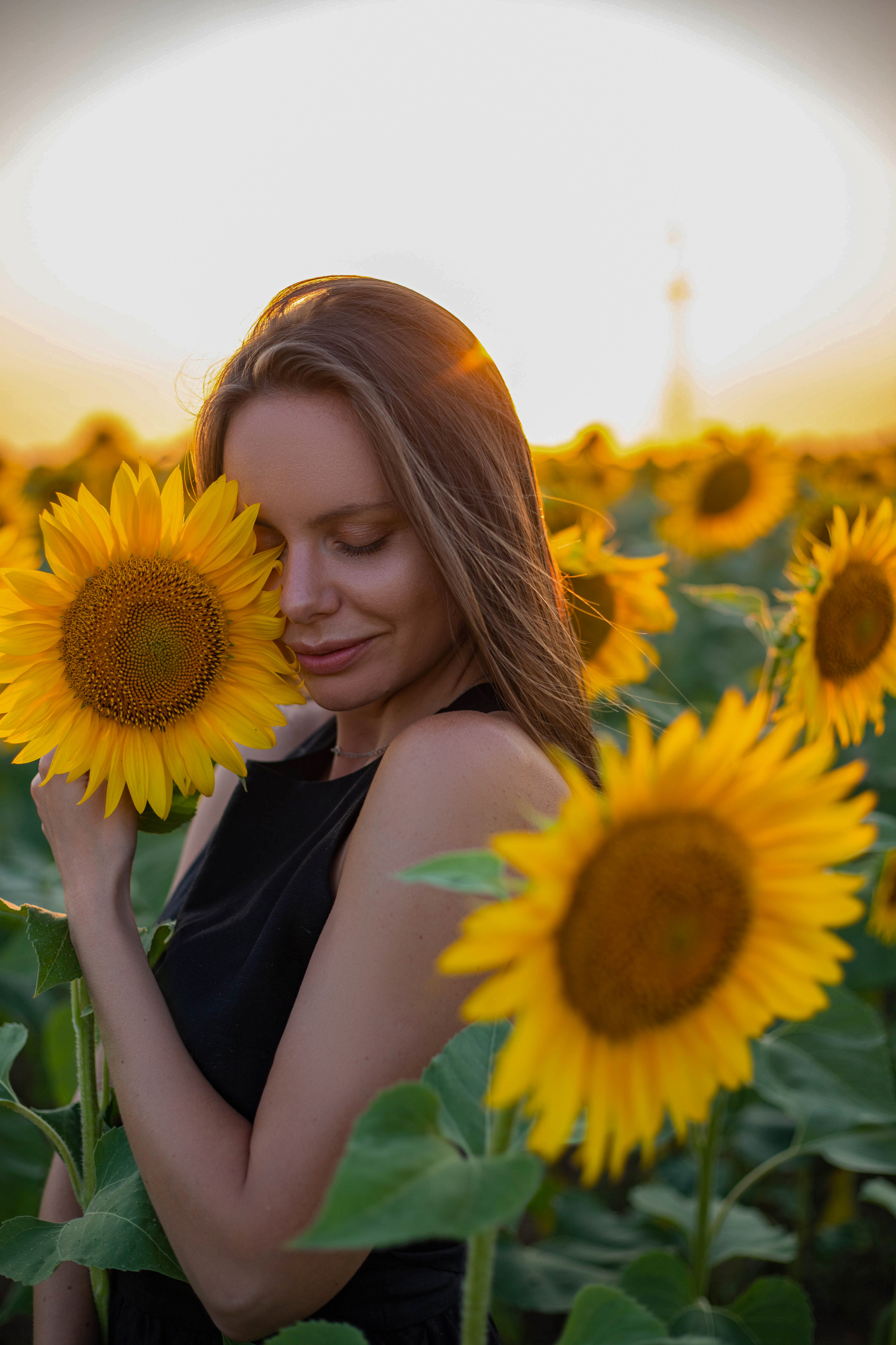 S U N F L O W E R. Фотограф Немазенко Ольга