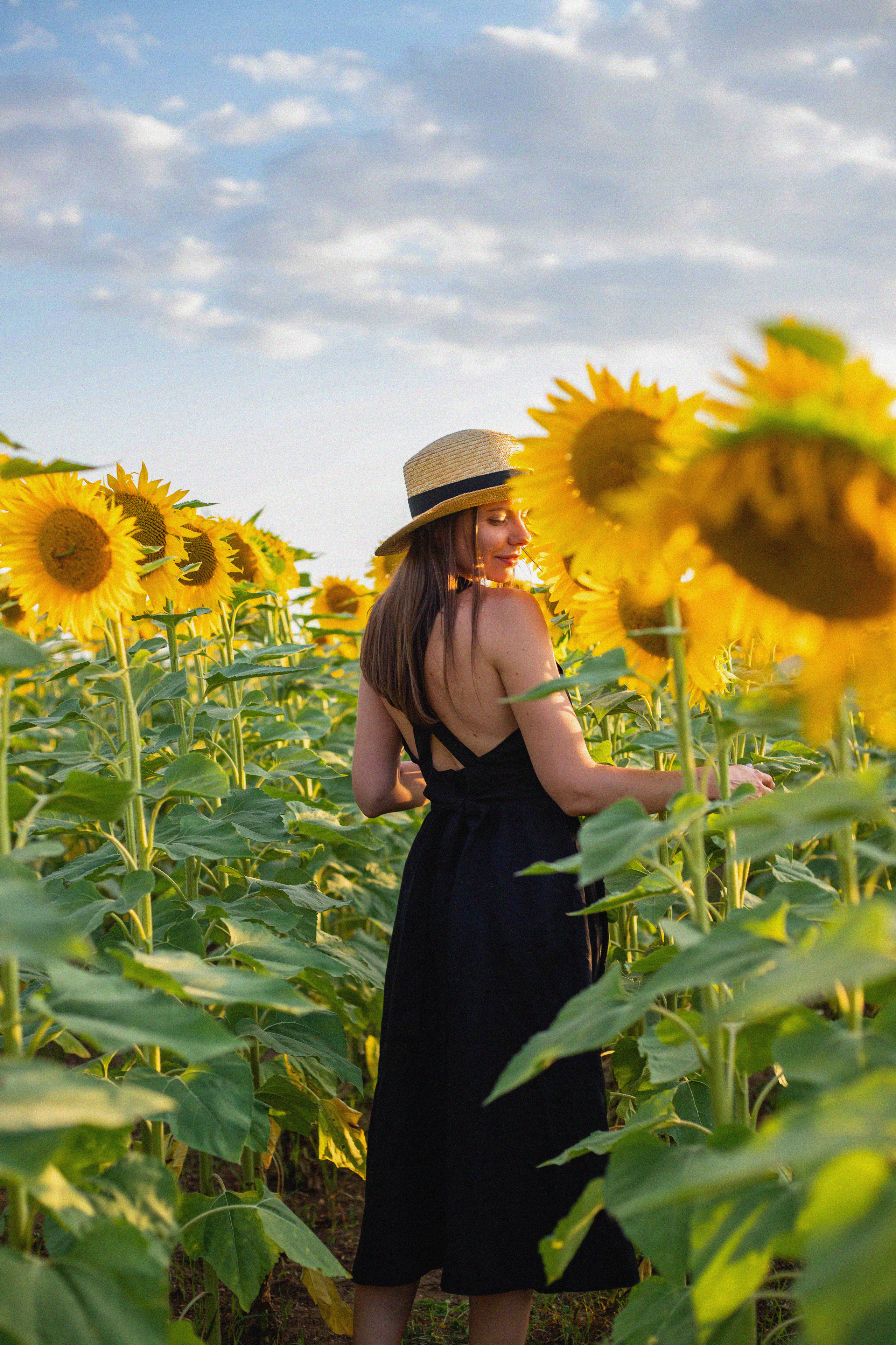 S U N F L O W E R. Фотограф Немазенко Ольга