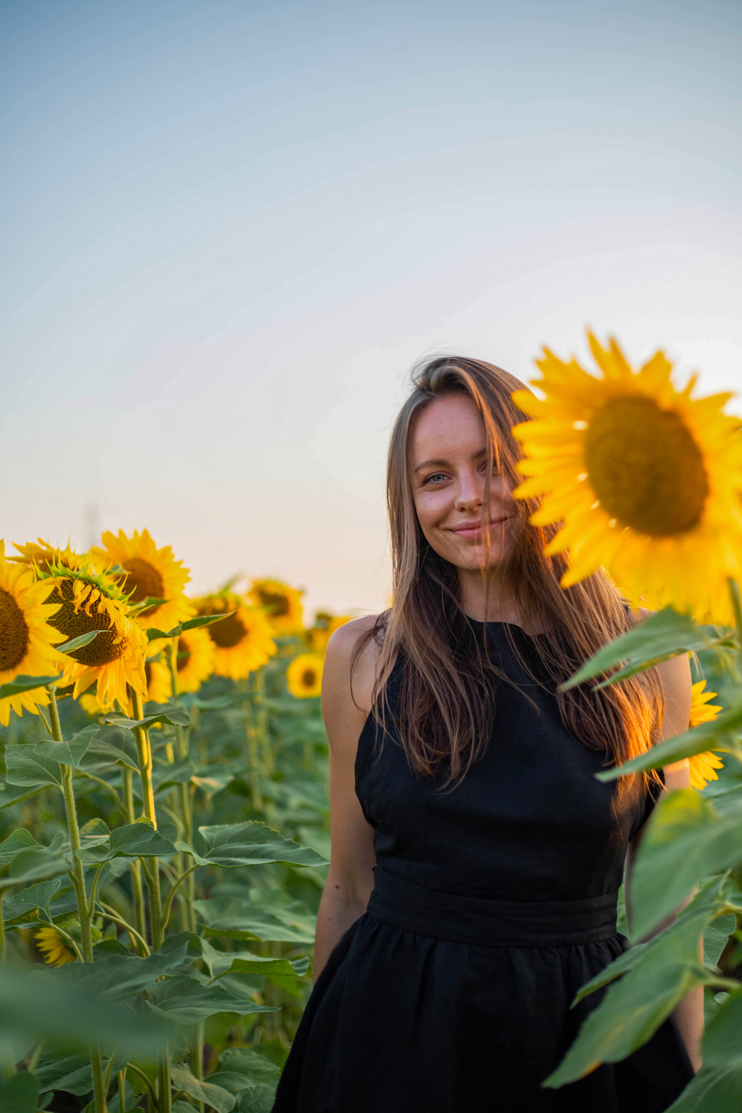 S U N F L O W E R. Фотограф Немазенко Ольга