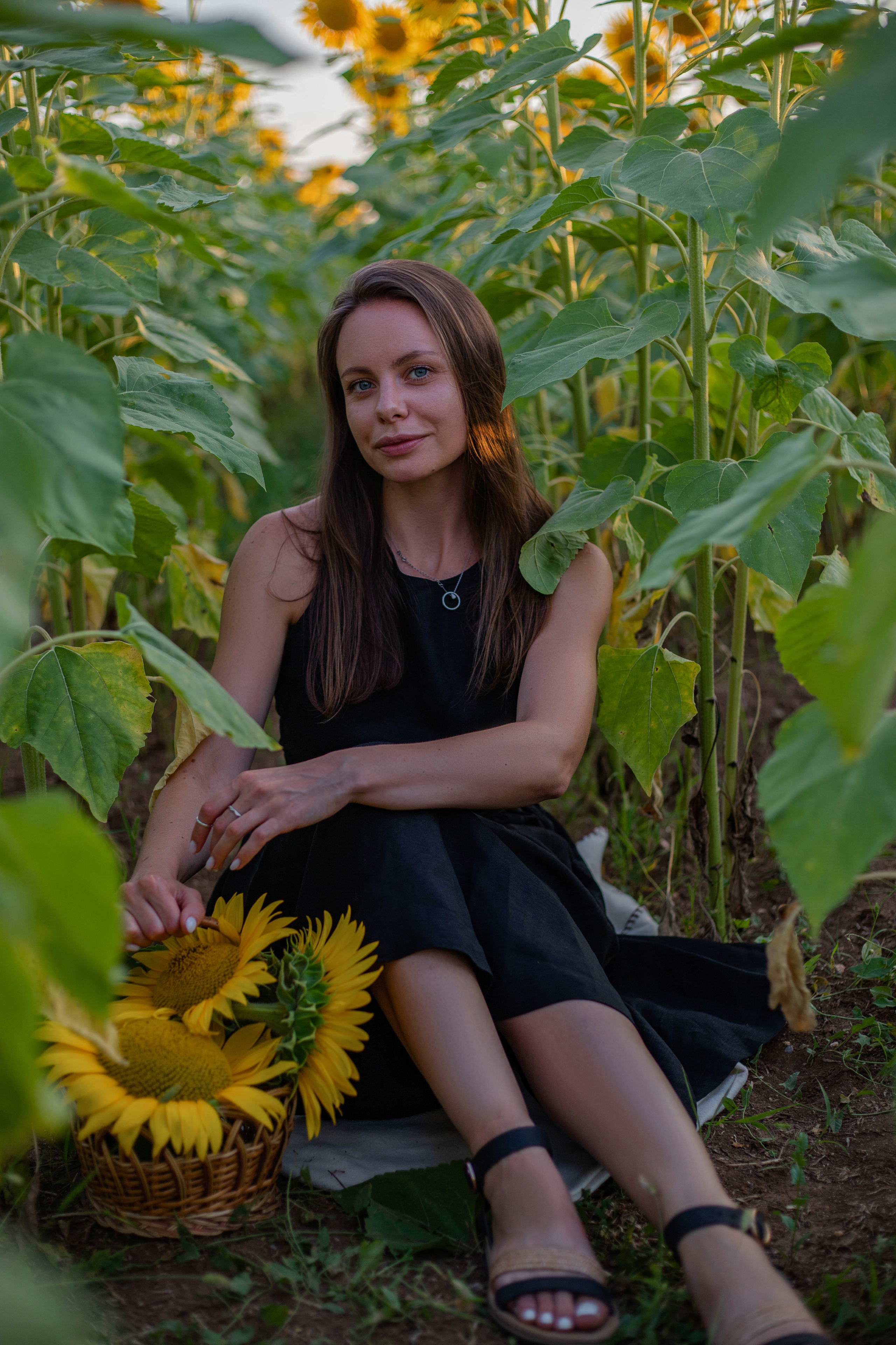 S U N F L O W E R. Фотограф Немазенко Ольга