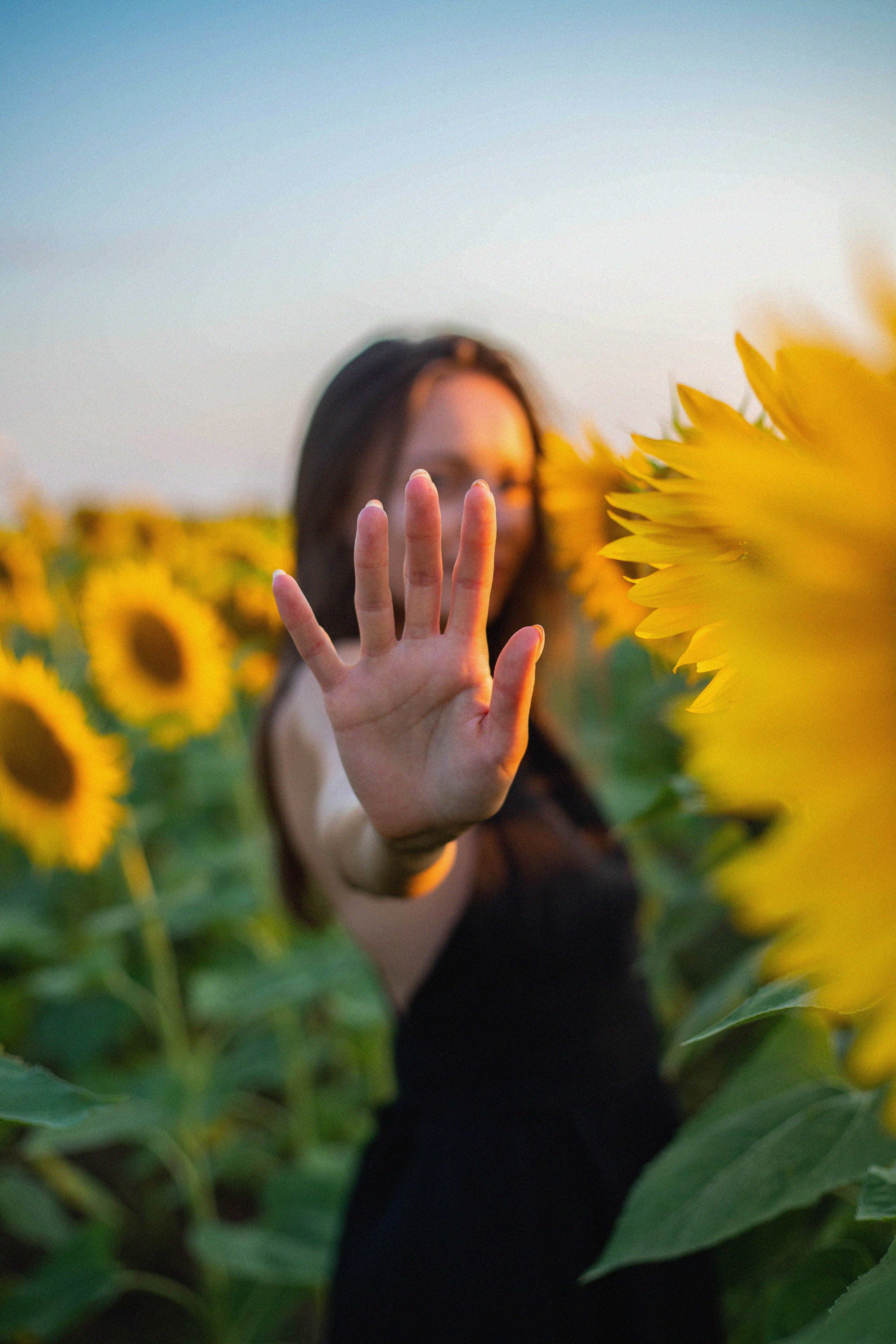 S U N F L O W E R. Фотограф Немазенко Ольга