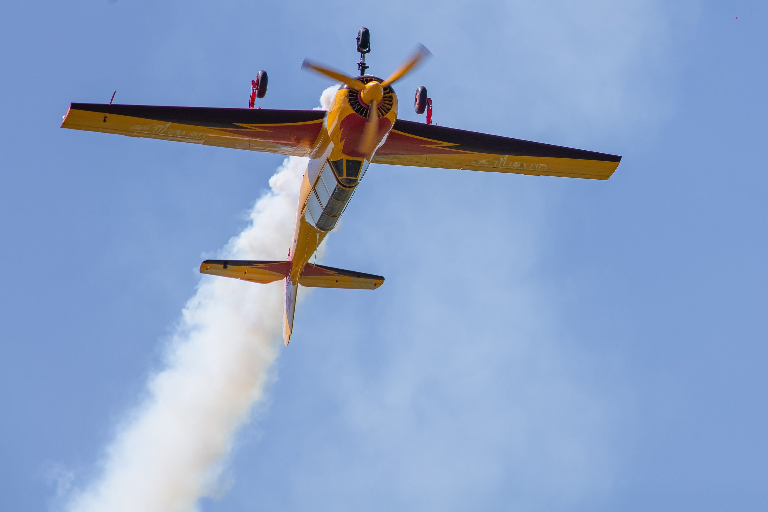 Крылья Пармы 2025 г. KATERINA VINOKUROVA ФОТОГРАФ ПЕРМЬ