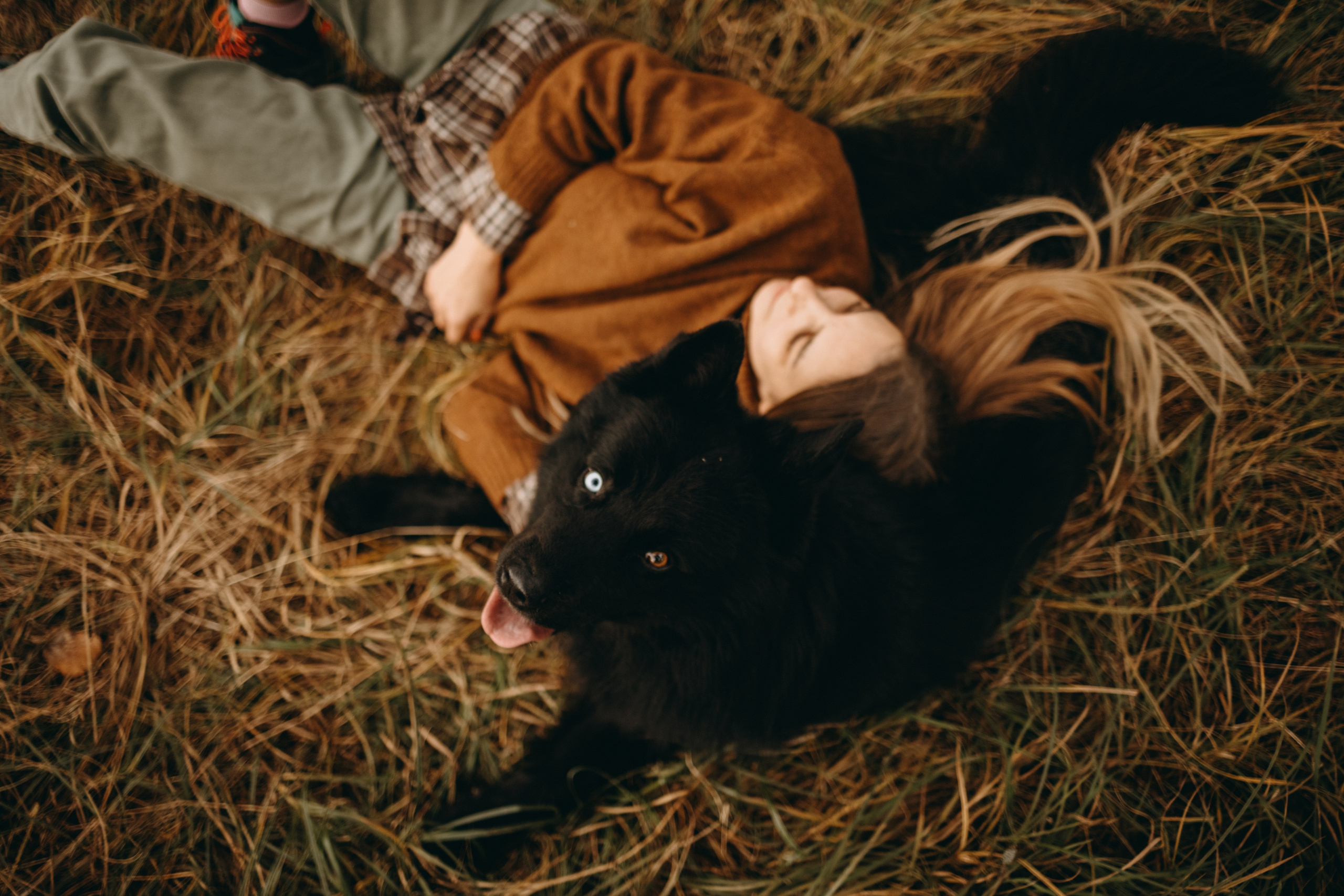 Лора и Джанго. Фотограф — Анималист | Санкт-Петербург