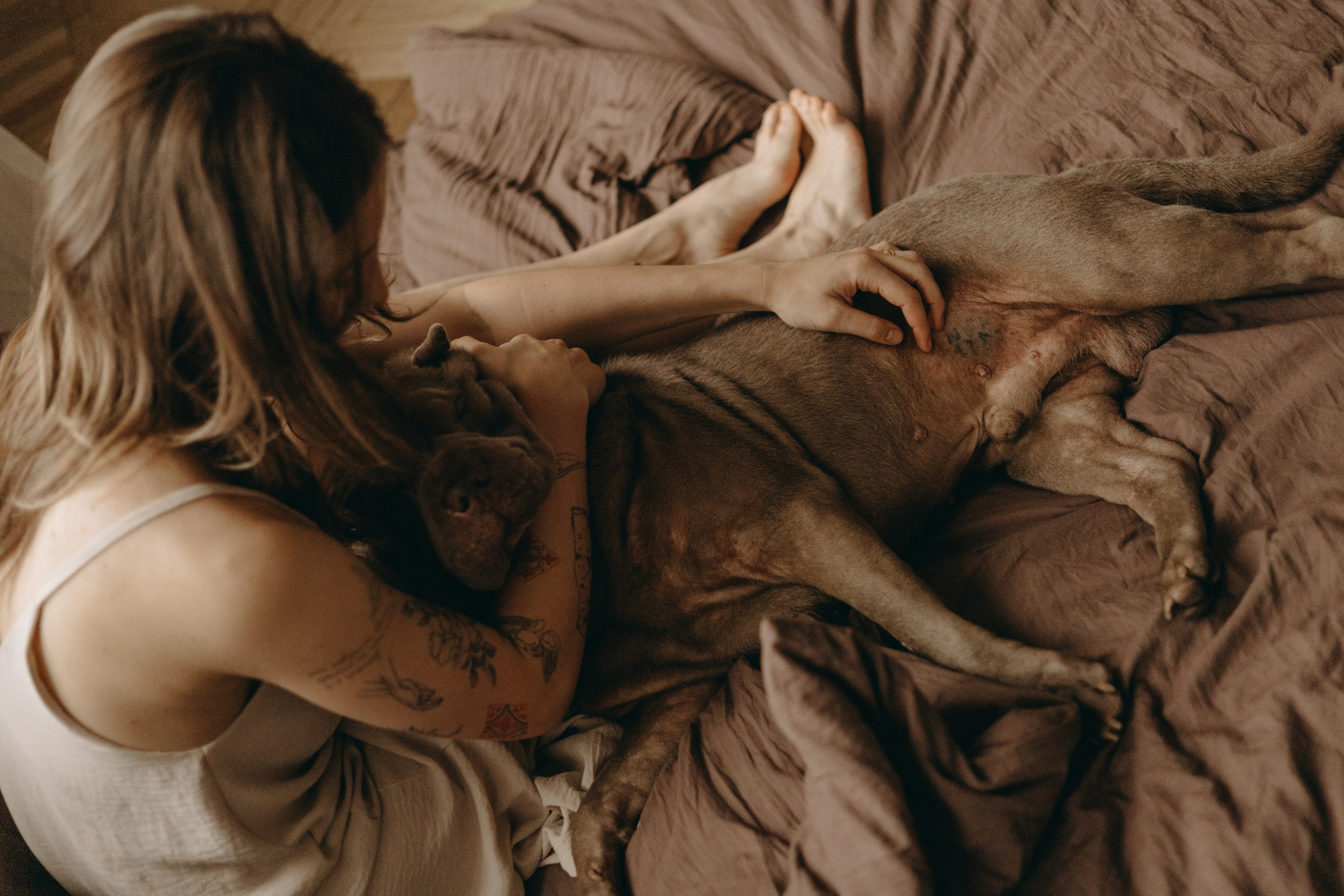 Ульяна и Вагнер. Фотограф — Анималист | Санкт-Петербург