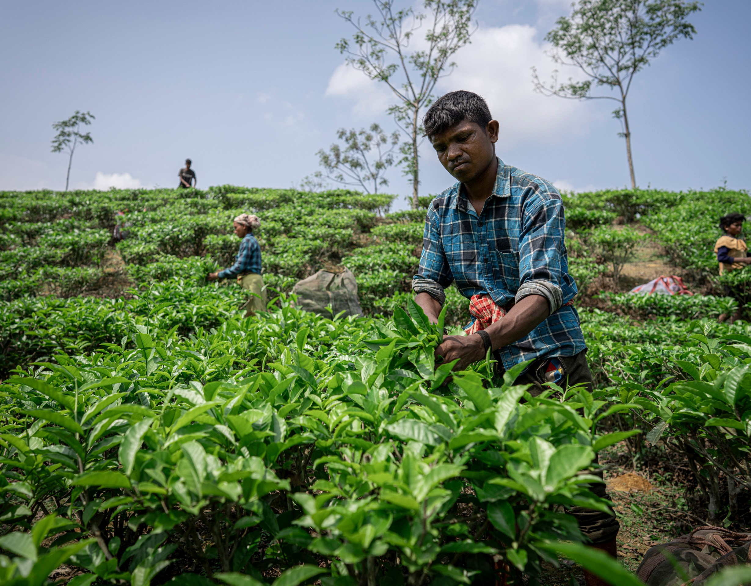 India travel. Фотограф Сергей Танков