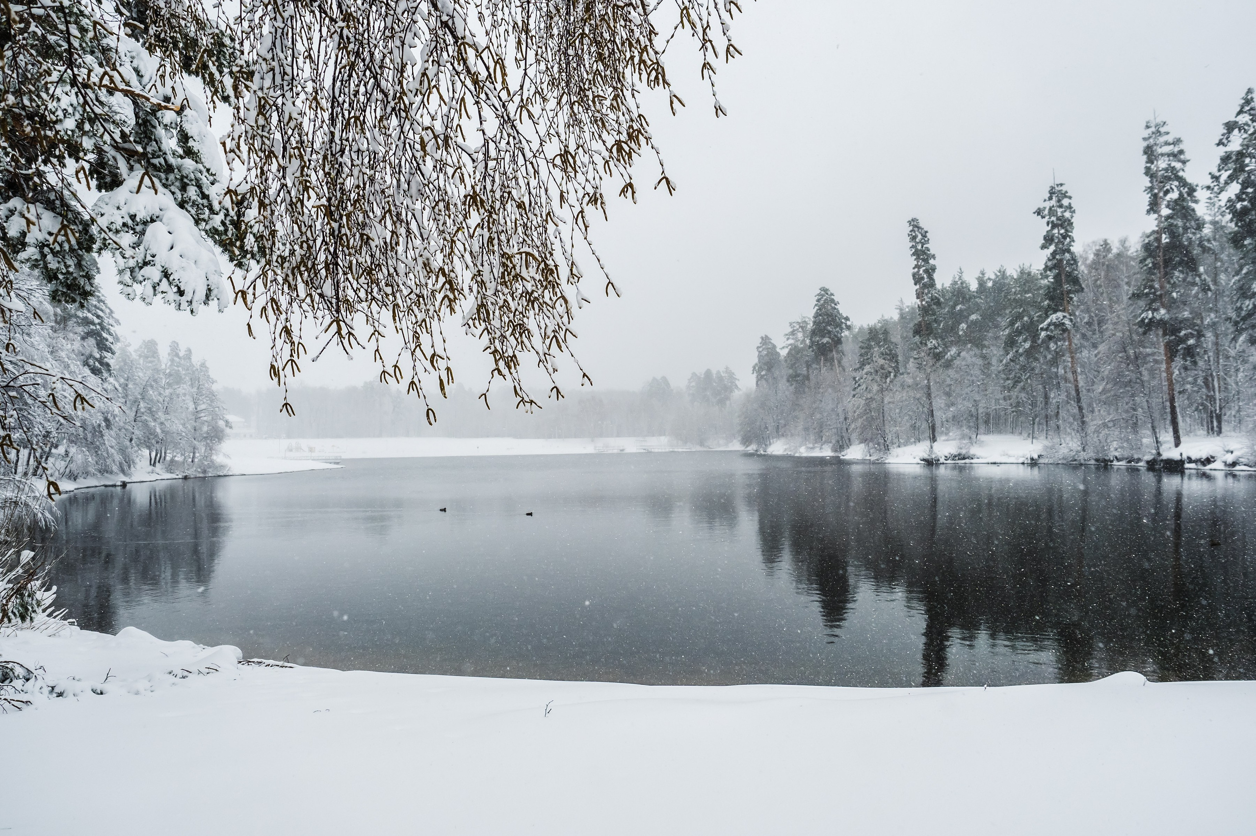 Красота Заречного. Репортажный, семейный и детский фотограф в Пензе и Заречном Арина Ермилова. Картины барельеф на заказ