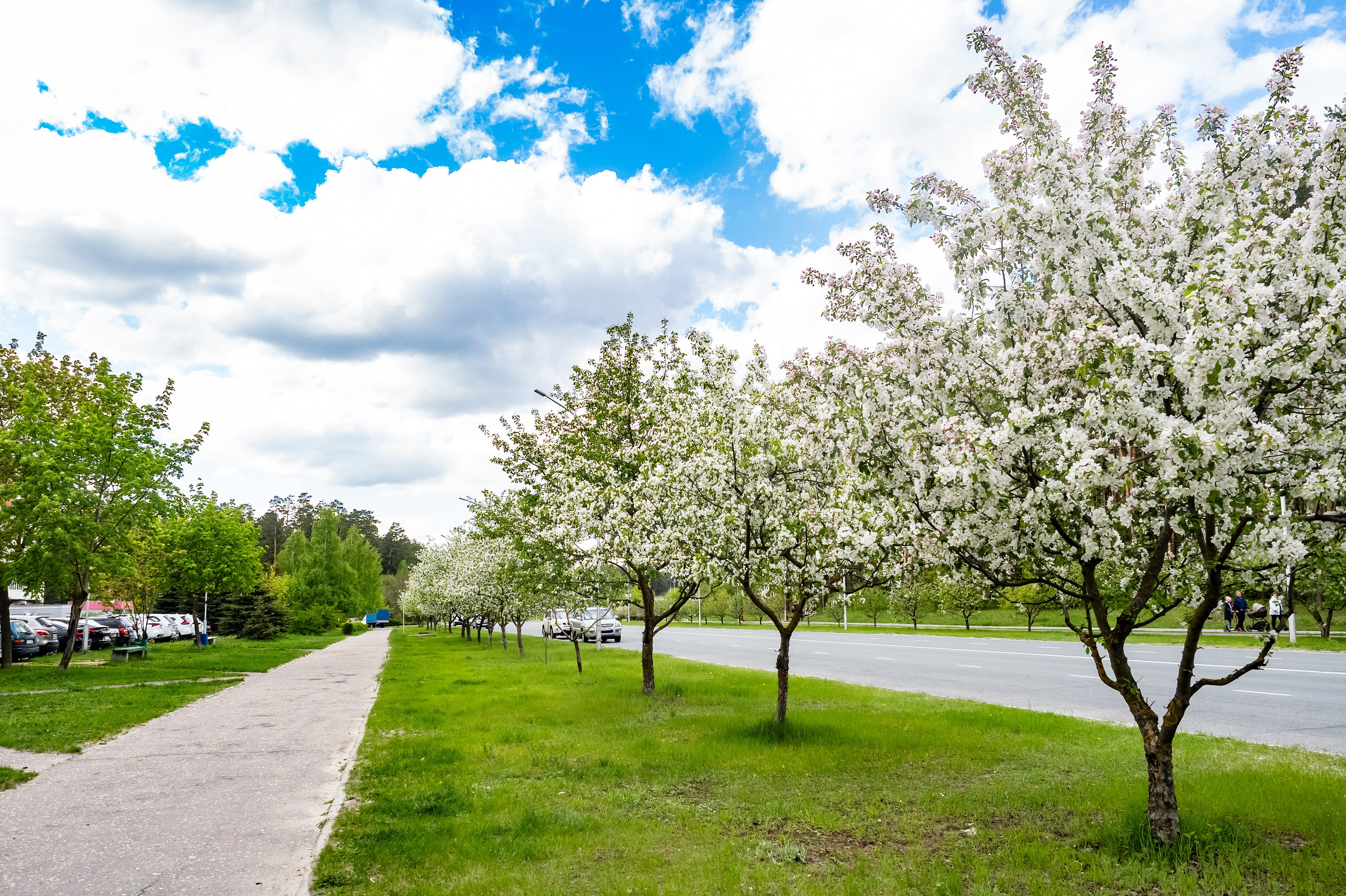 Красота Заречного. Репортажный, семейный и детский фотограф в Пензе и Заречном Арина Ермилова. Картины барельеф на заказ