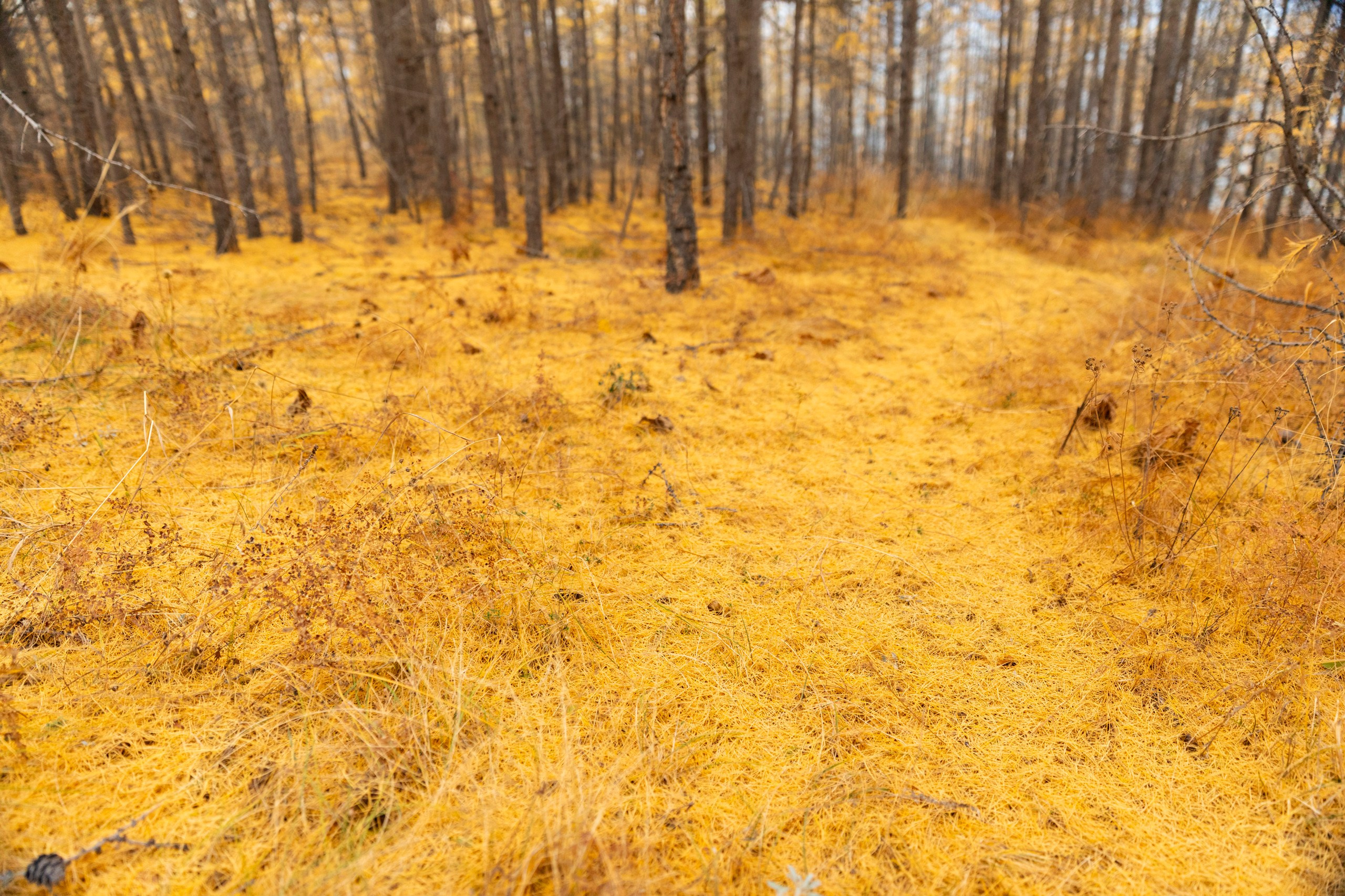 Ольхон в октябре. Марина Захарова — Фотограф. Москва / Marina Zakharova — Photographer