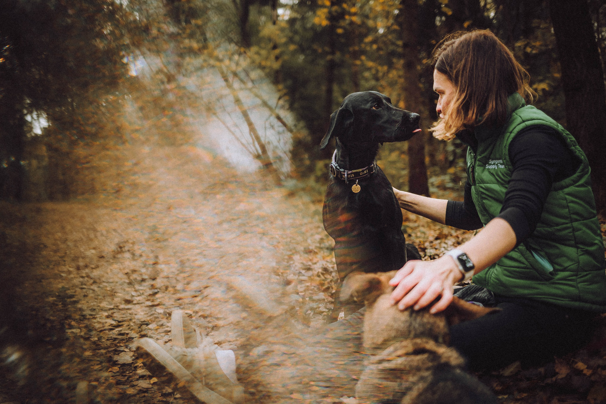 Аня, Нео и Луна