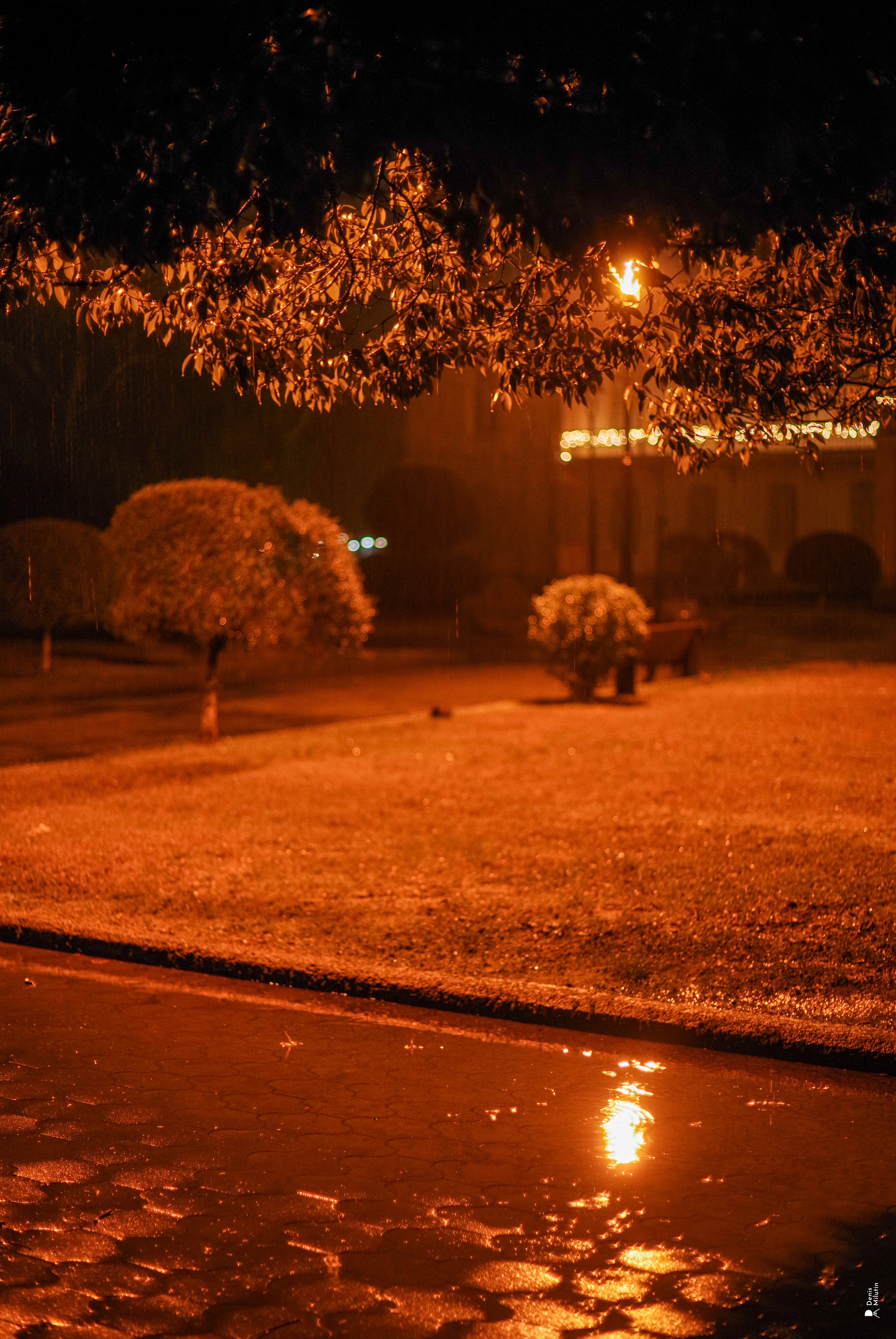 Зугдиди. Портретный фотограф Денис Милютин