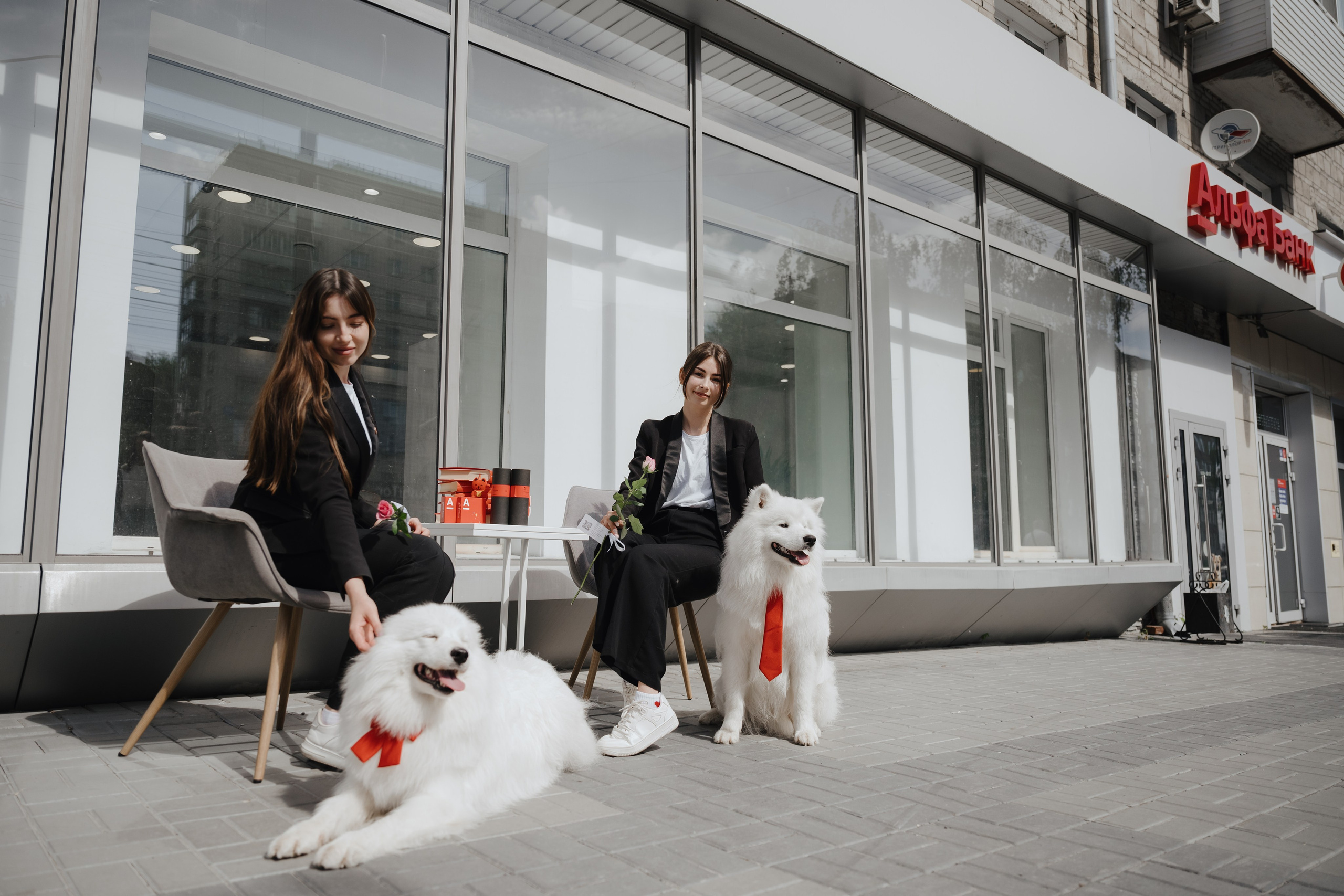 Альфа банк Карла Маркса 55. Фотограф Кристина Тумаева. Самоед Новосибирск