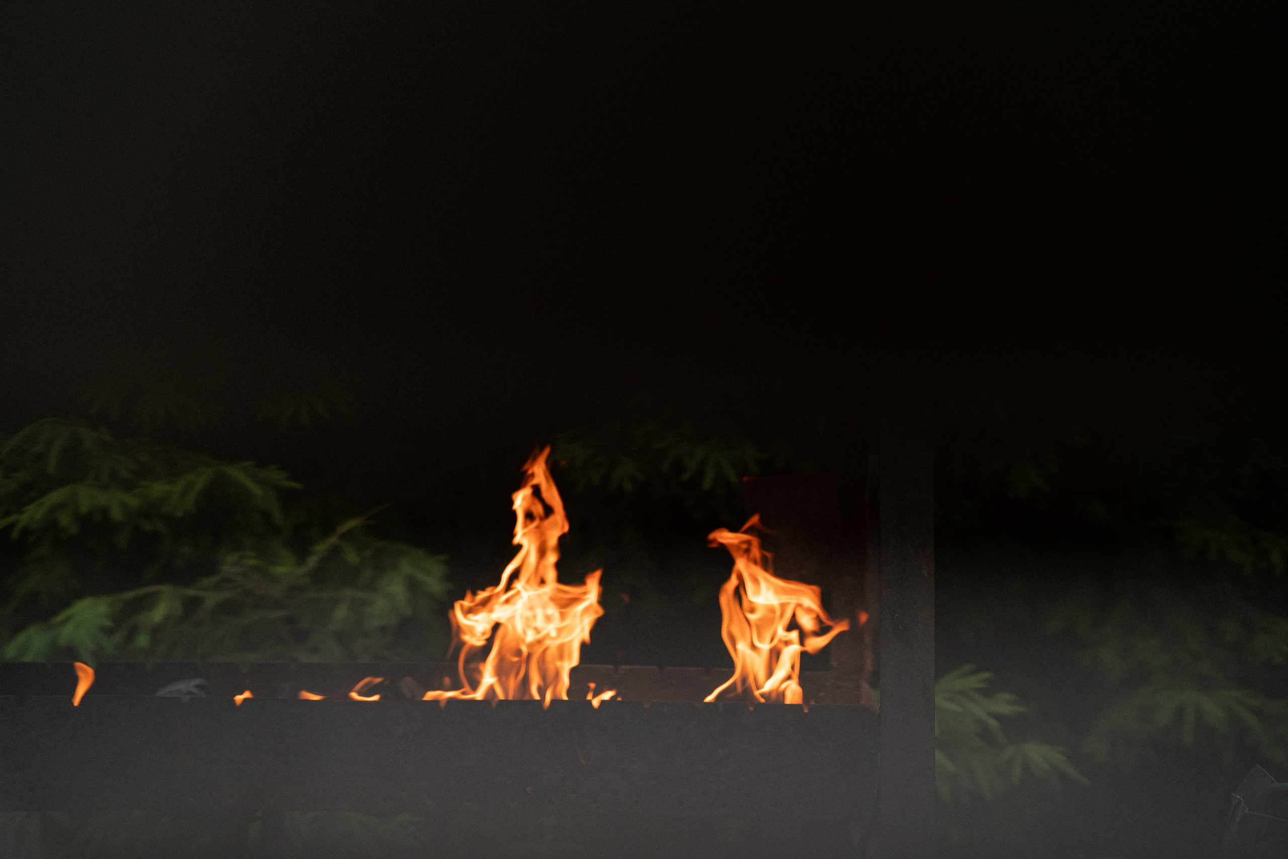 Юбилей в Питере. Фотограф Алина Филимонова Тверь