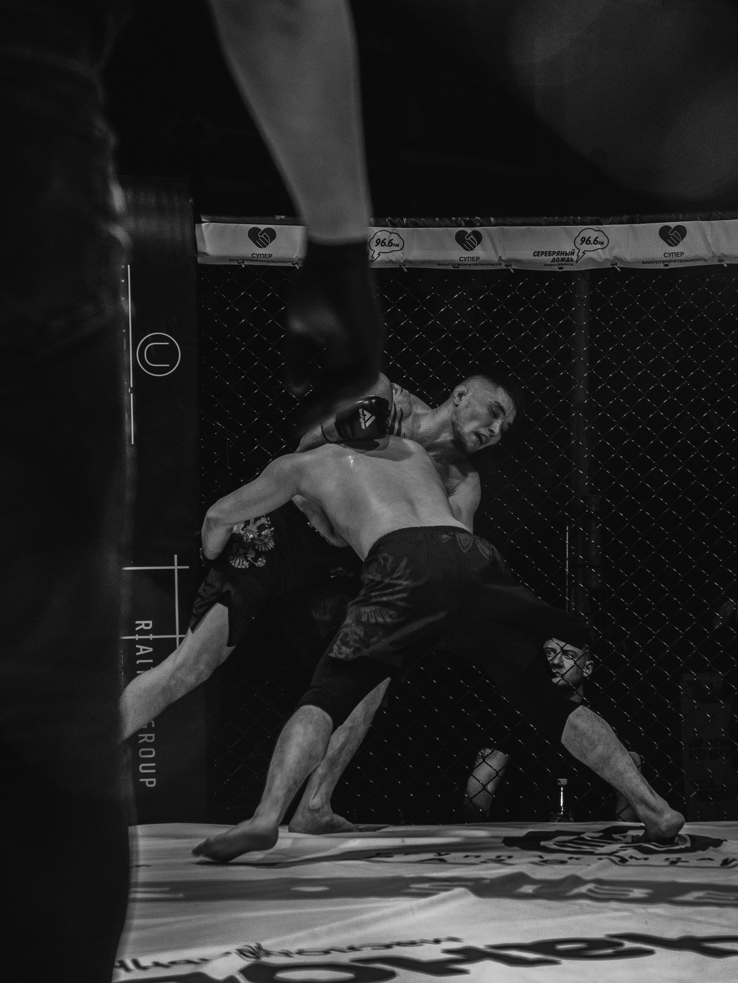 SFL 17 | Siberian Fighting League. Портретный фотограф в Москве Дарья Цезария