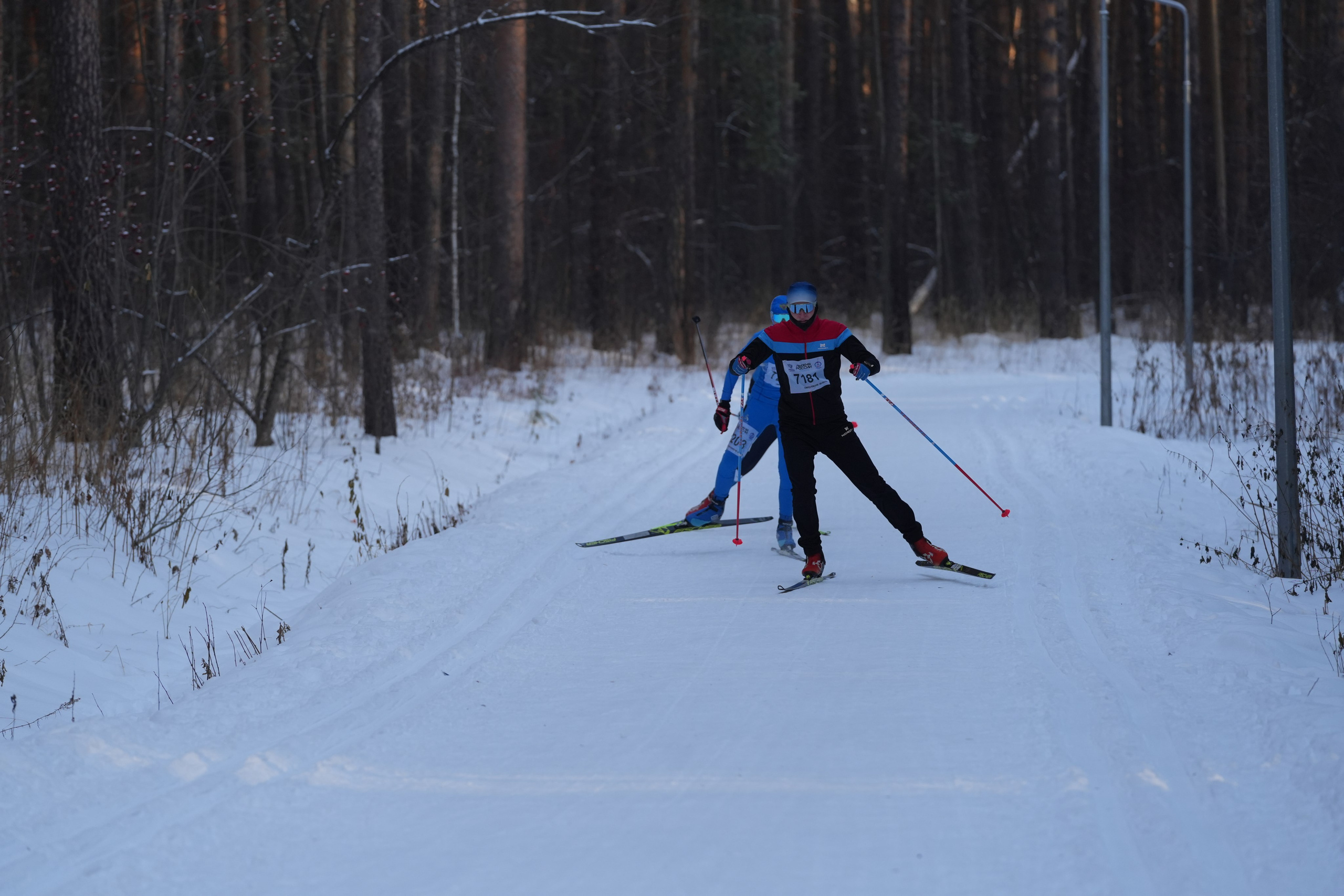 Лыжня России 2025. Фотограф в детский сад в Екатеринбурге, выпускные альбомы Юлия Умерова