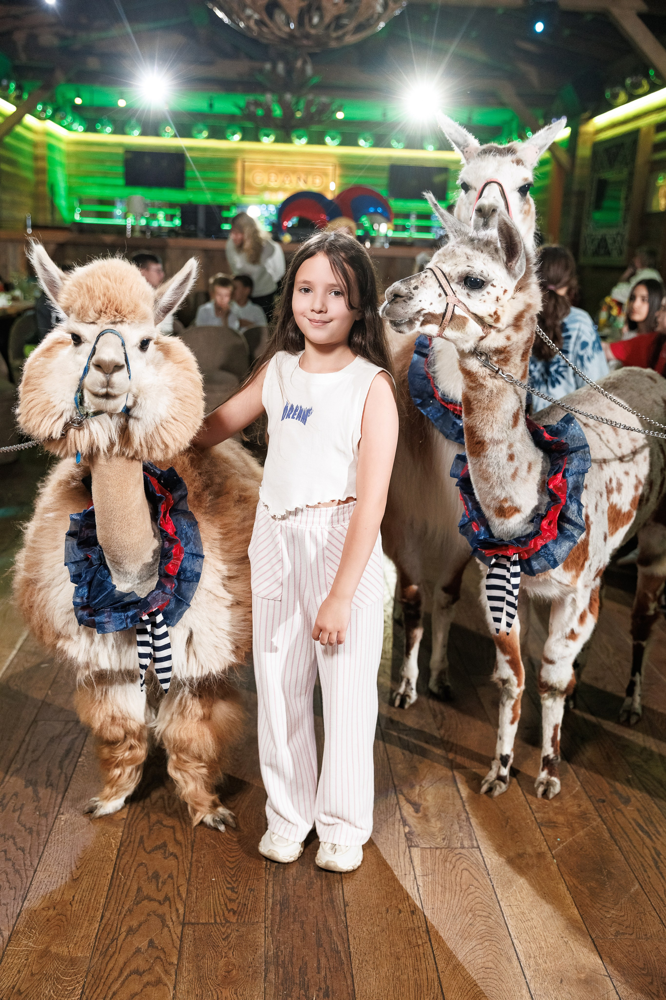 Лама и Альпака