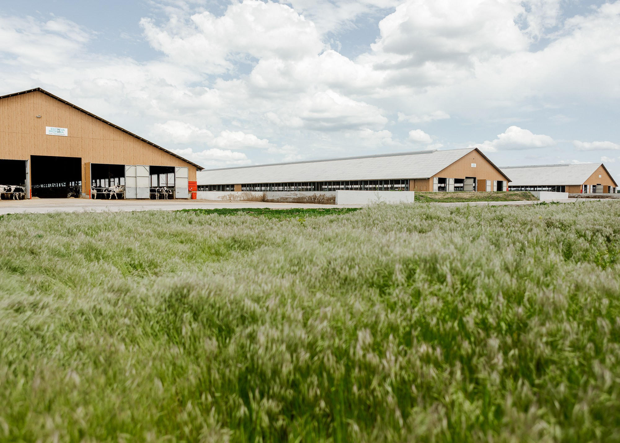 ЭкоНива — производитель молока № 1 в России