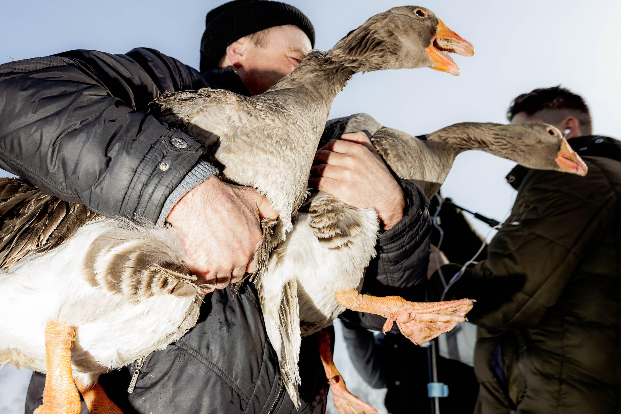 Масленица в Суздале