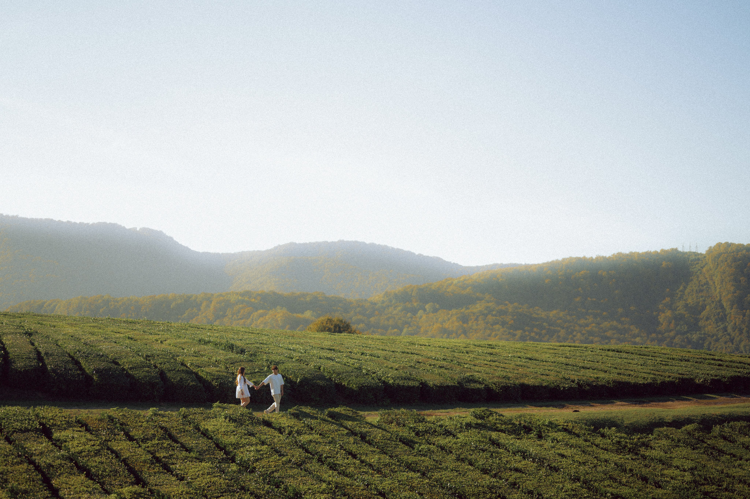Катя и Альберт. Фотограф Сочи Кисматова Анастасия