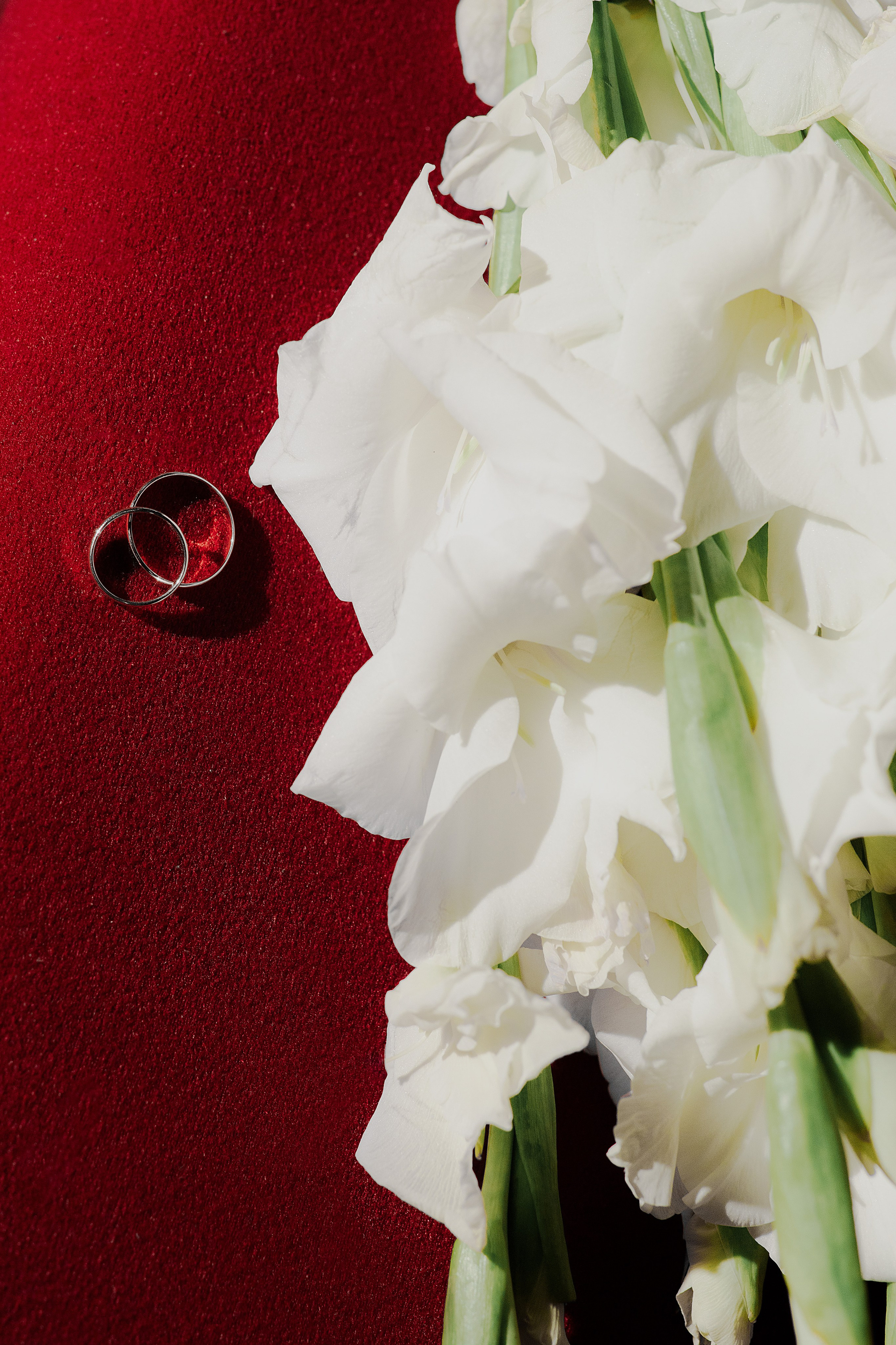 Алина Рустам. Свадебный фотограф Ростов-на-Дону Виолетта veslers.ph