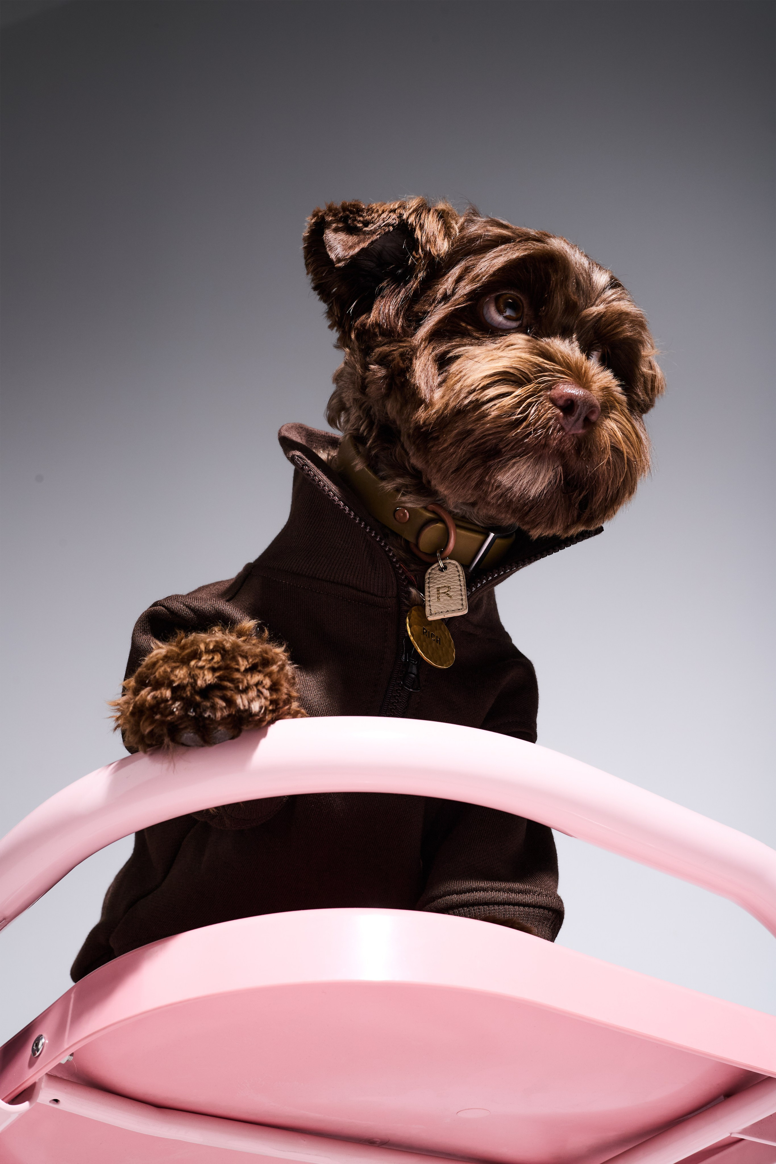 Big Lap Club. Фотограф|Москва-СПб| Анастасия Рябинина