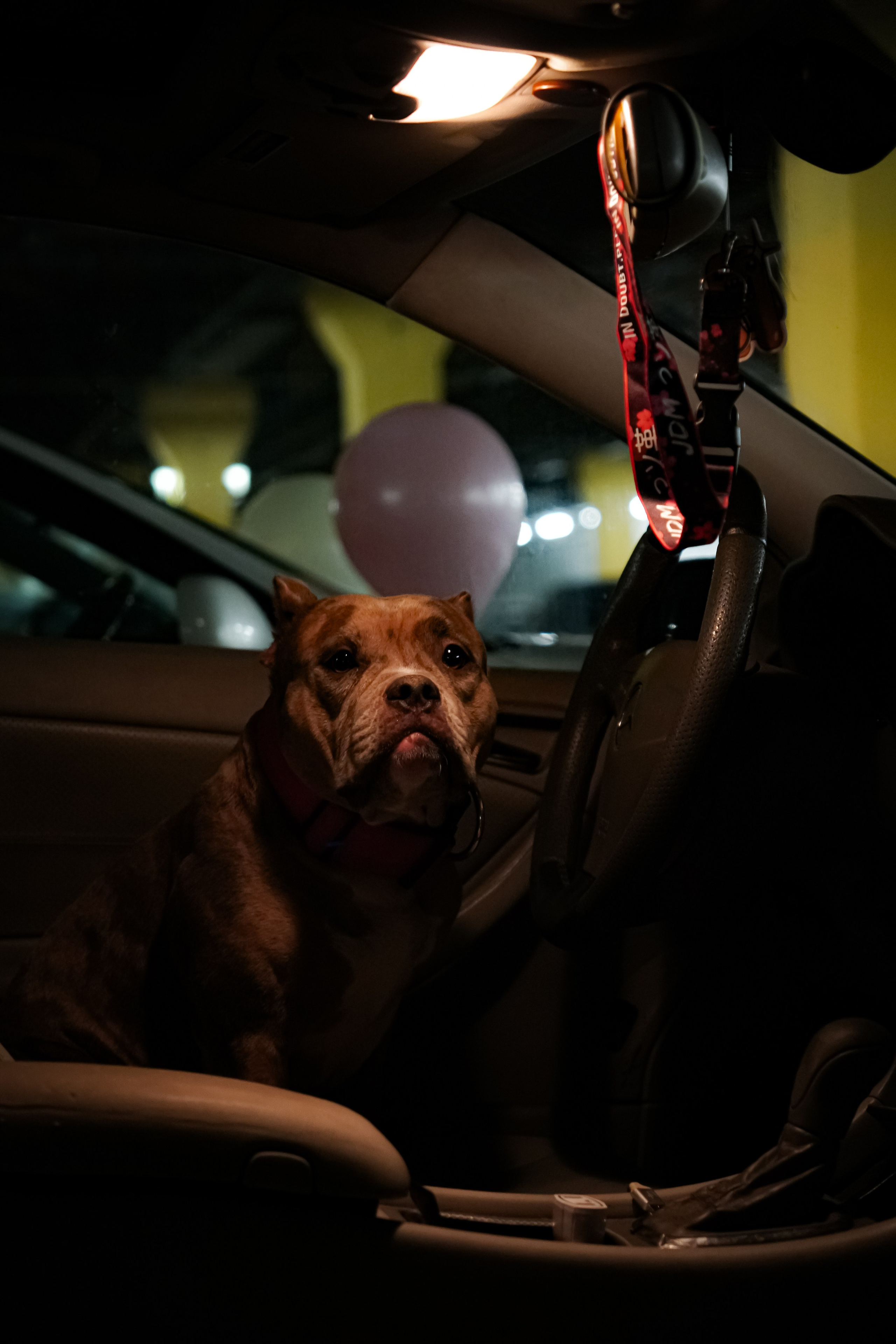 Портфолио Гончаренко Павел. Ма, я фотю📸