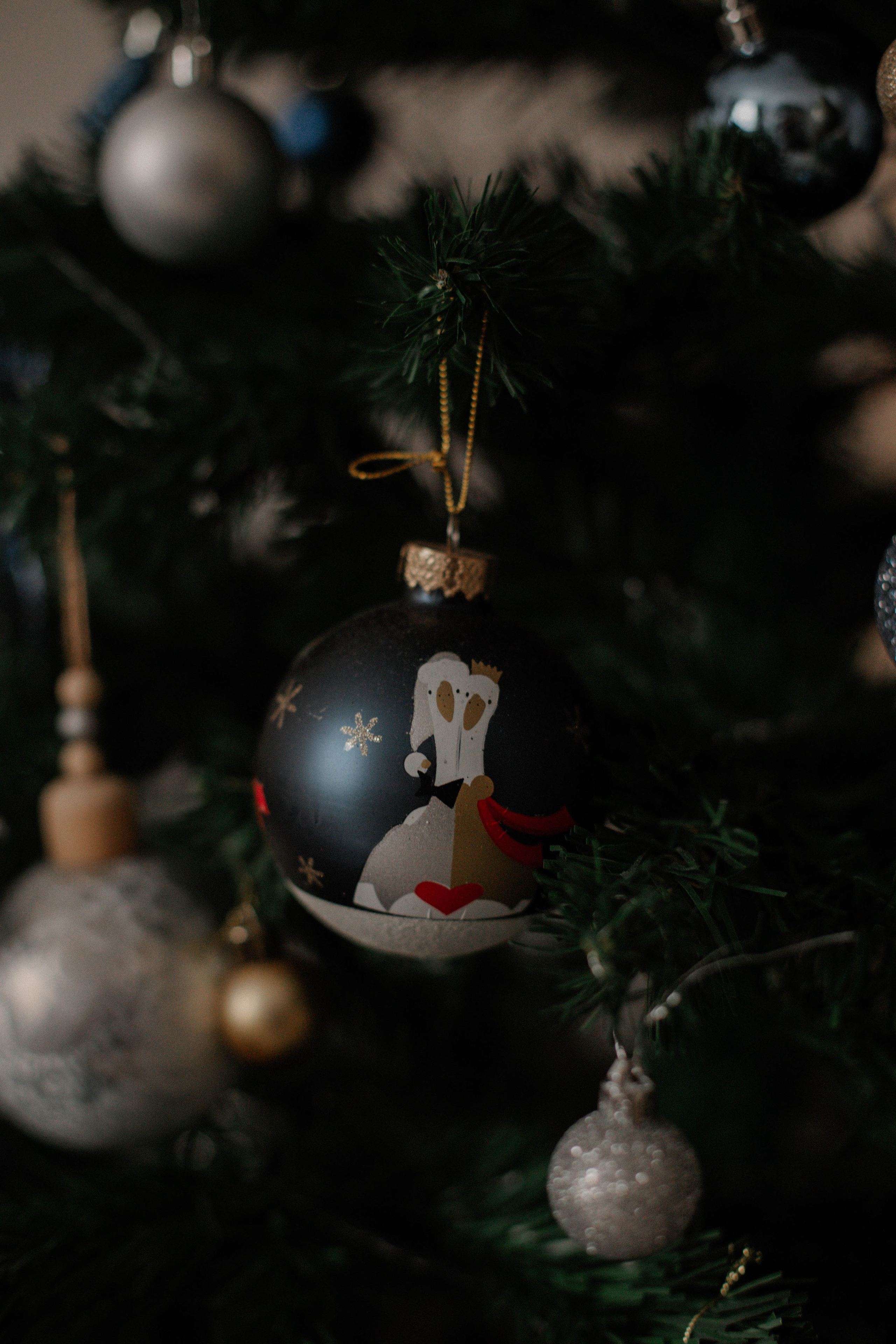 Люда и Паша. Фотограф в Санкт-Петербурге Дарья Заплитная