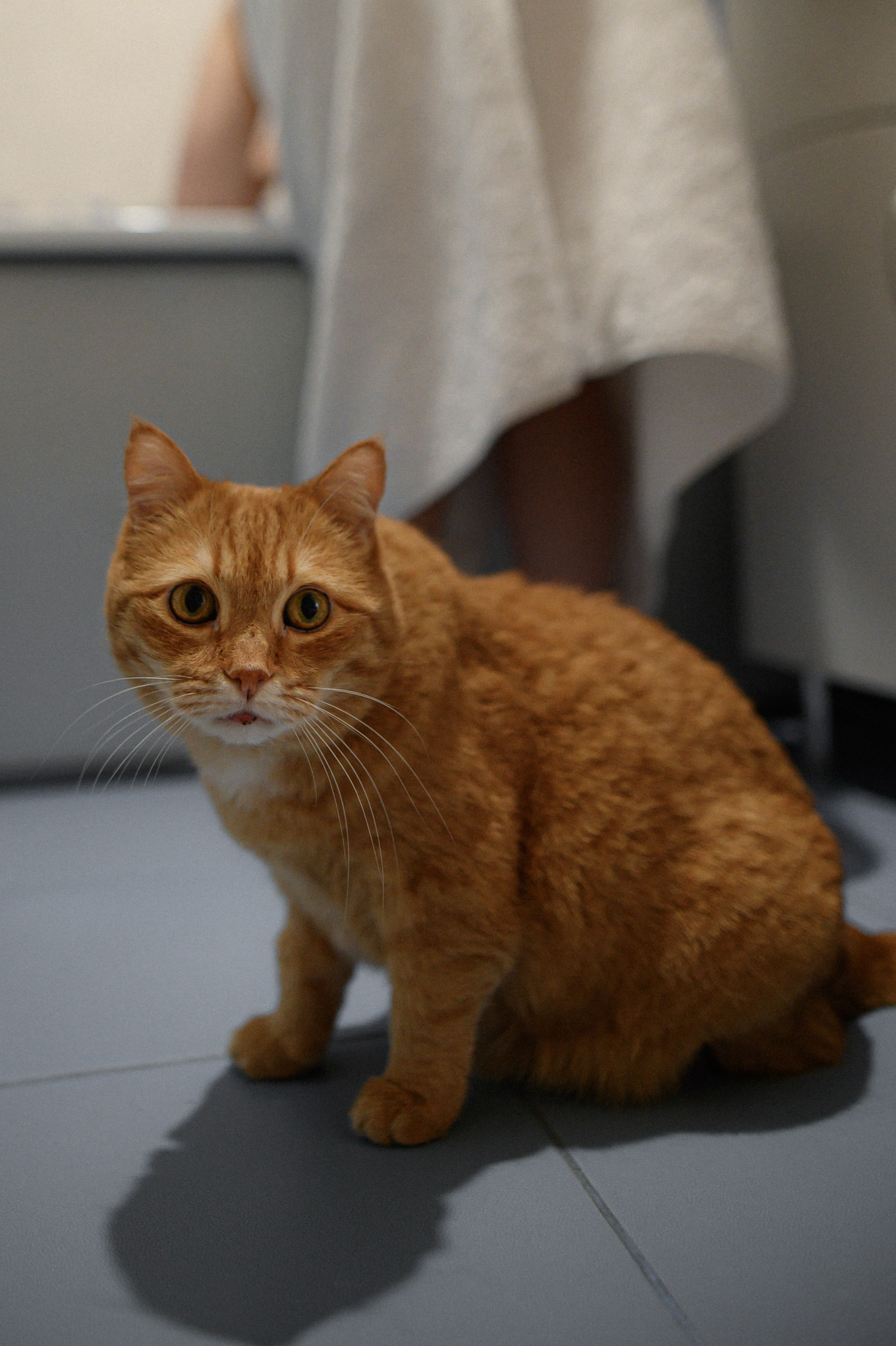 Юля. Www.ostermiller.ru