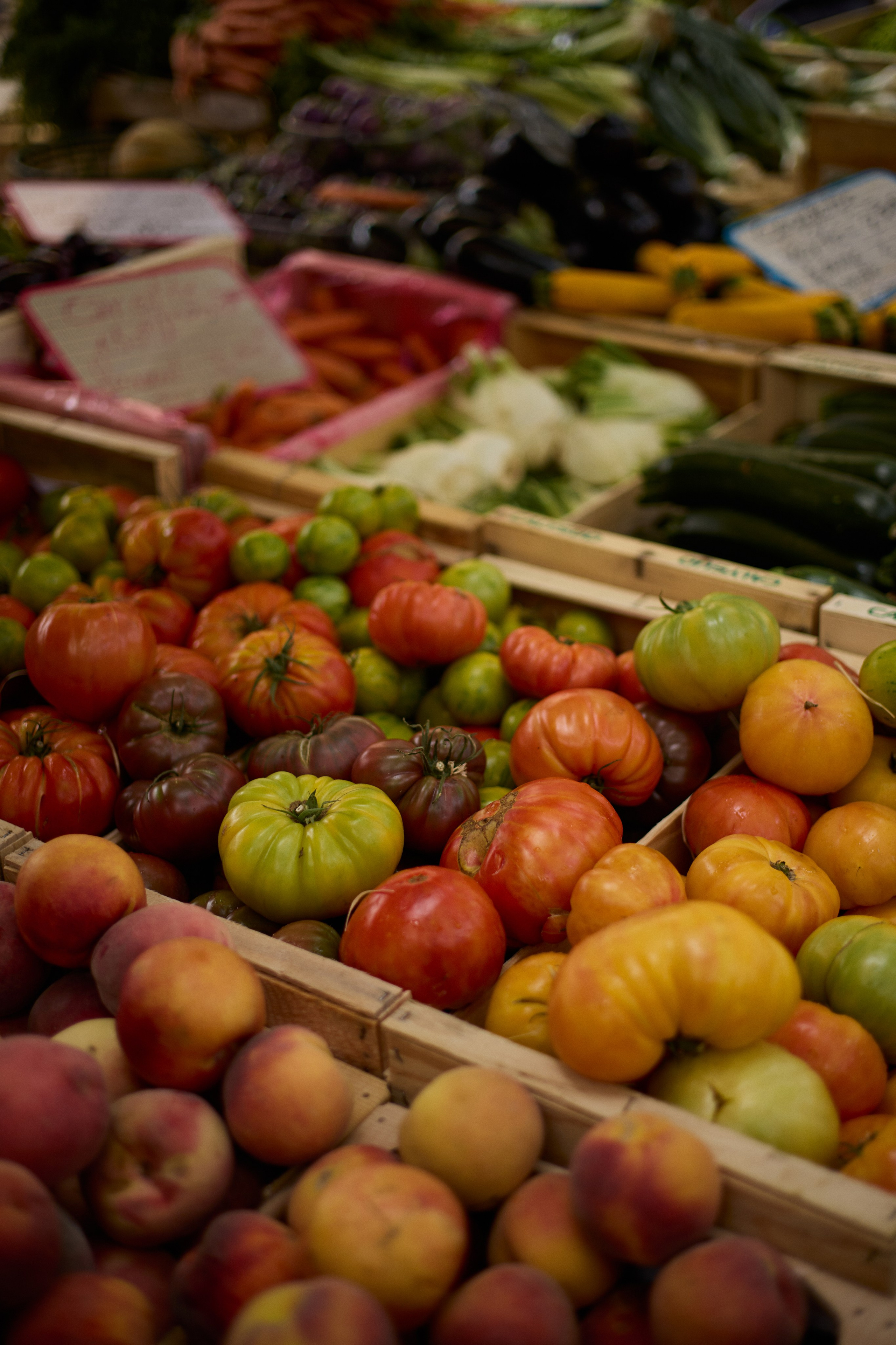 France (Provence & Paris) Sep'25. Анастасия Зобнинá — фотограф в Санкт-Петербурге/СПб