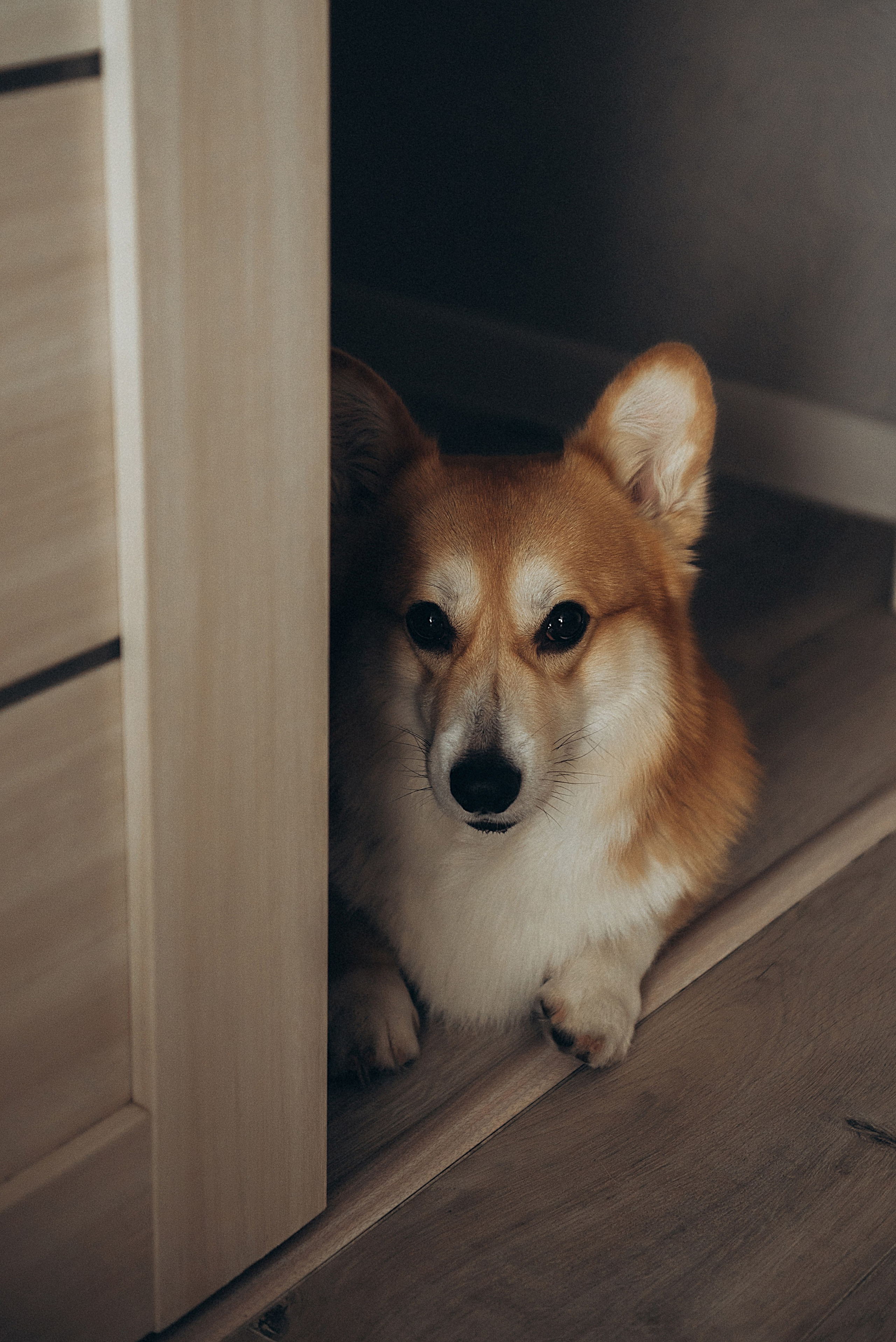 Кусочек счастья. Семейный и детский фотограф в Белгороде Ольга Сорока