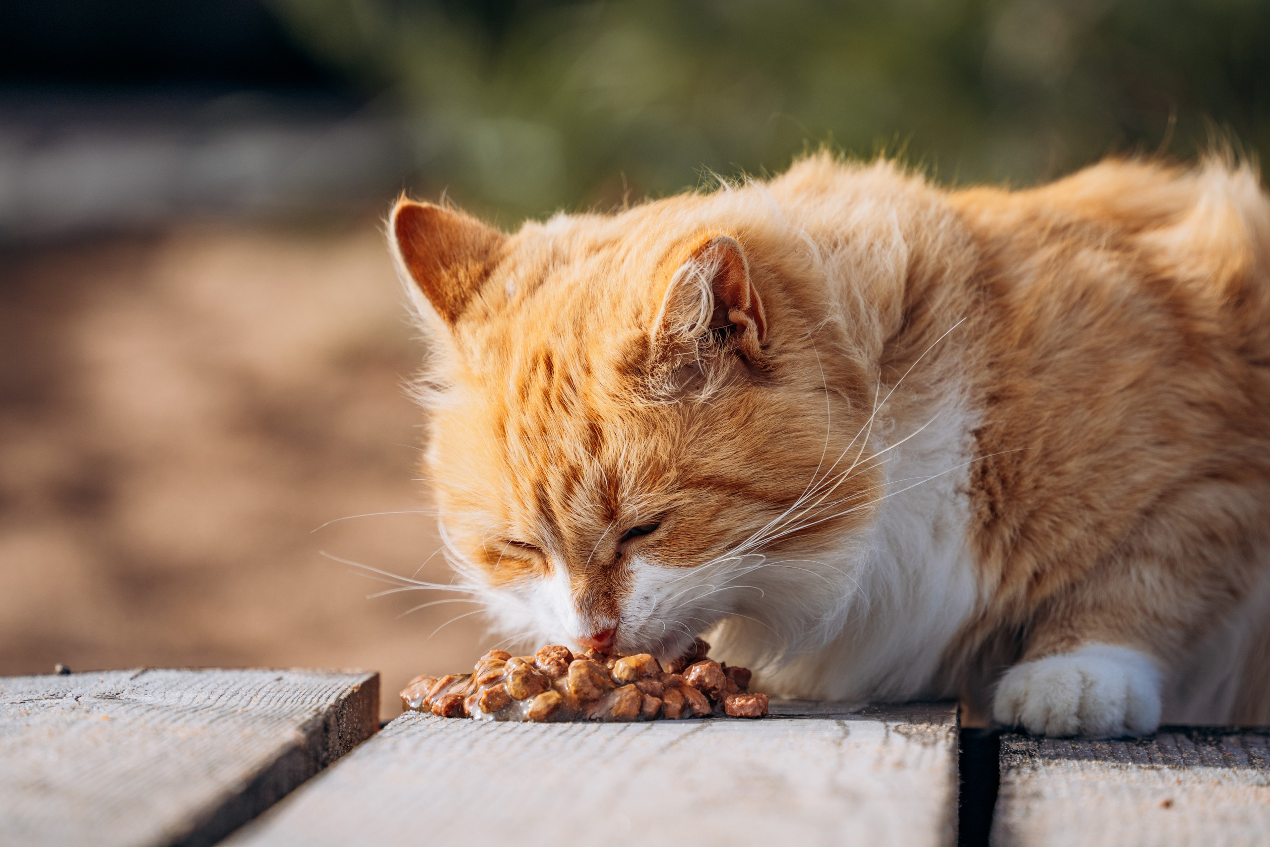 СЕВЕР. Event фотограф Степанова Александра