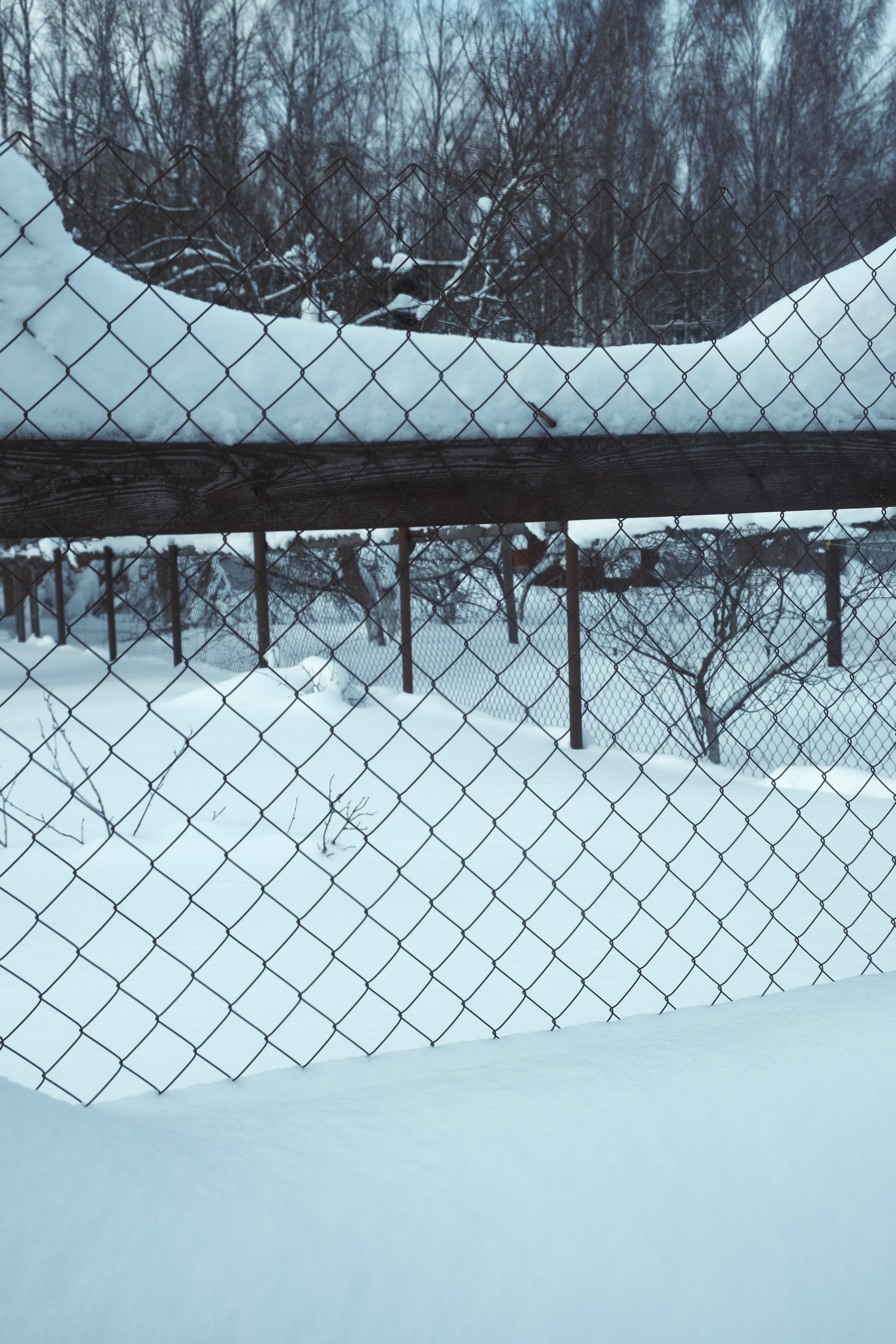 Под Москвой. Фотограф Настя Лев