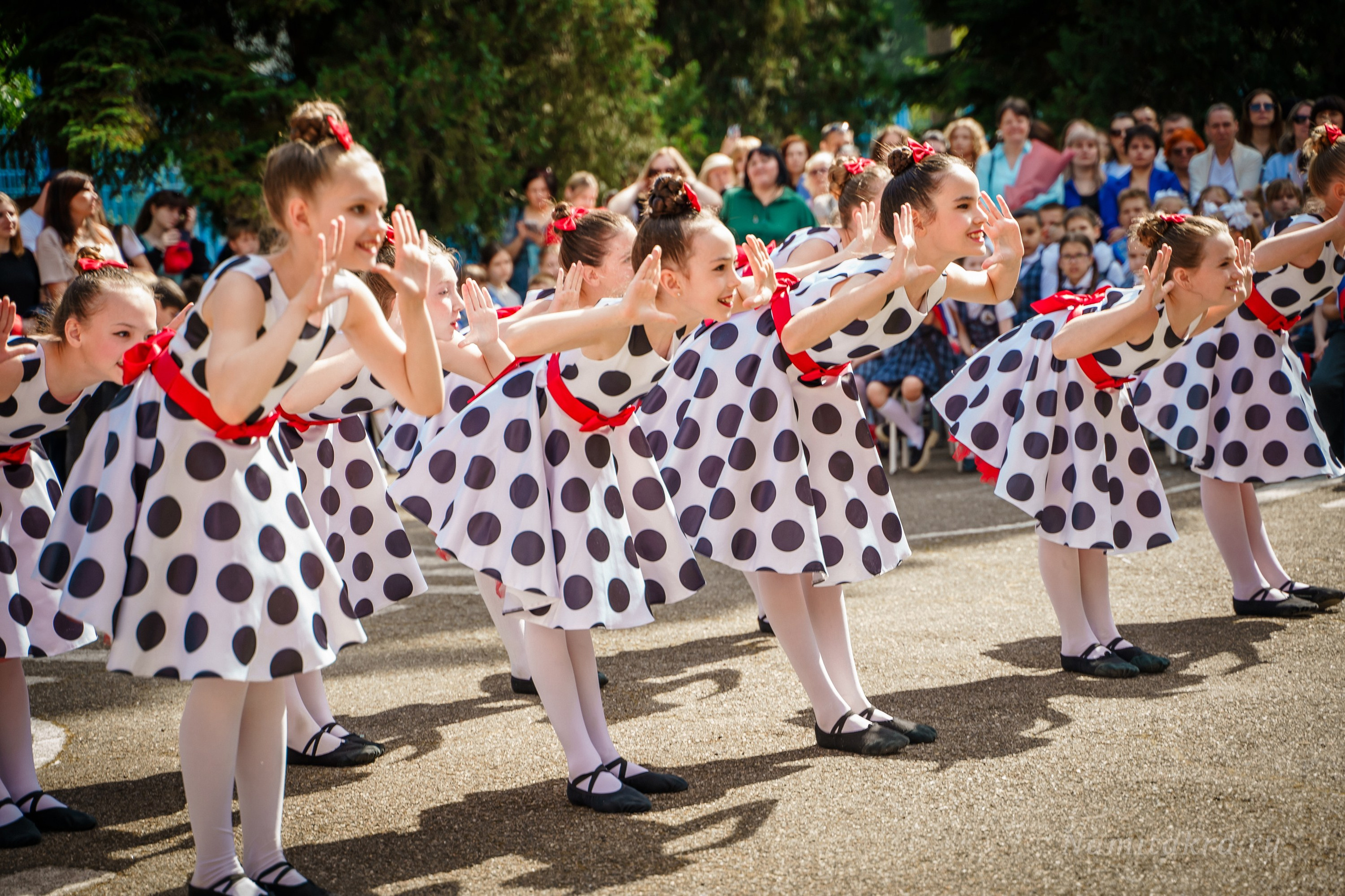 Школьные репортажи. Фотографы из солнечного Краснодара Вадим и Надежда Митус