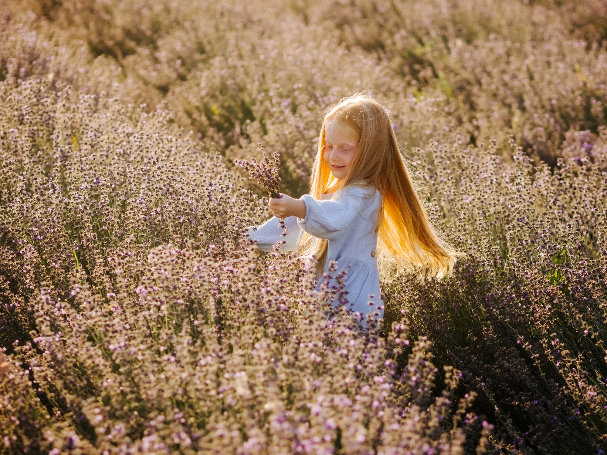 Лаванда. Семейный, детский, свадебный, фотограф в городе Анапа