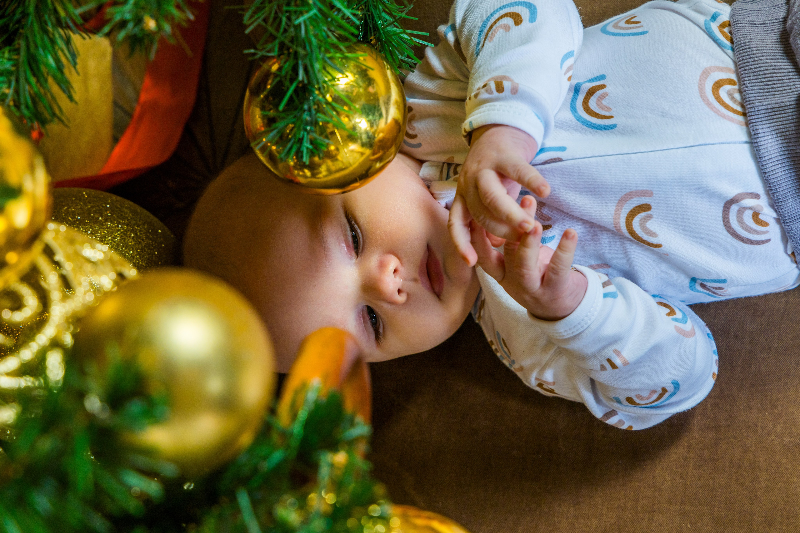 Студия. Photomantis