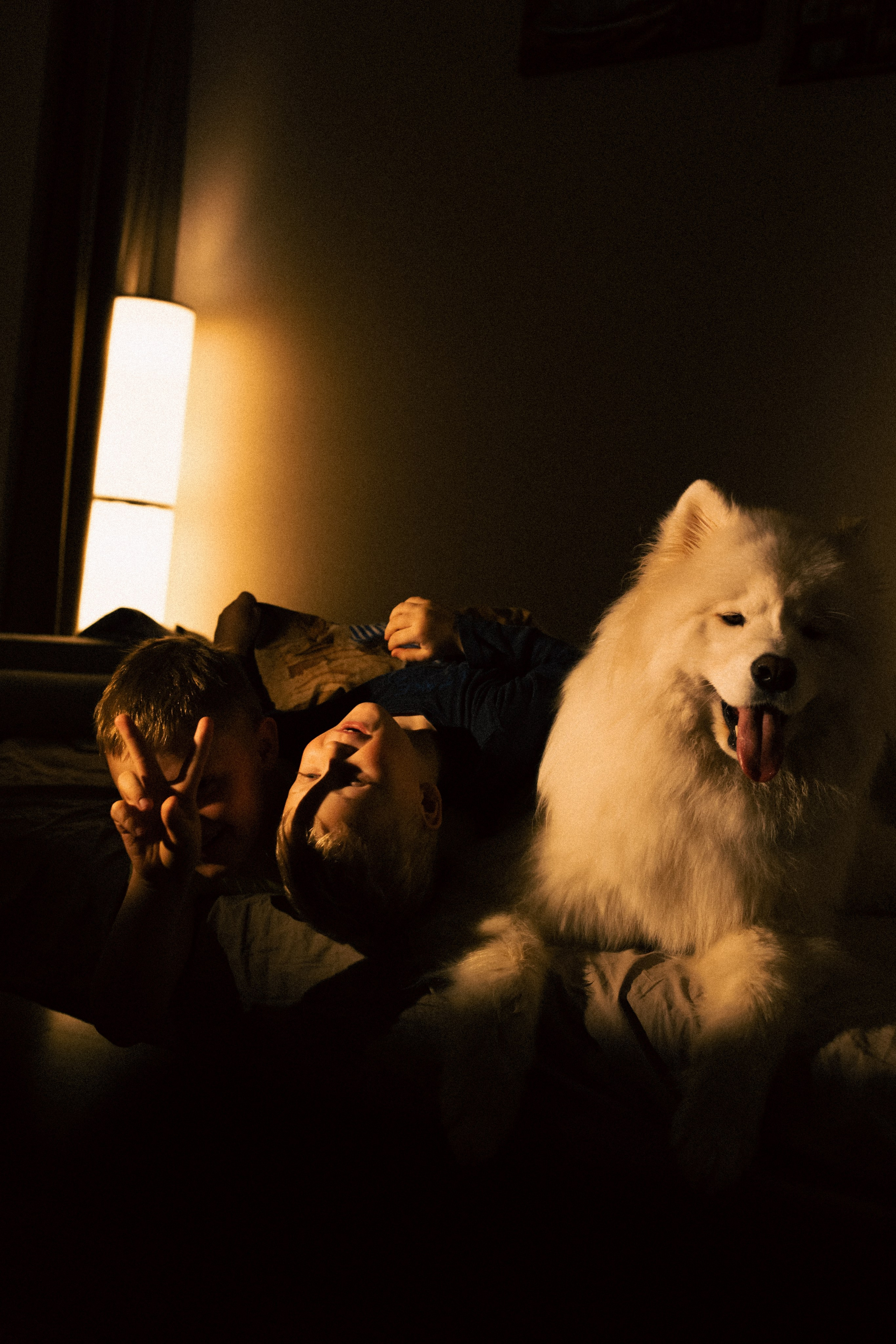 Мальчишки. Фотограф анималист в Москве Майорова Евгения