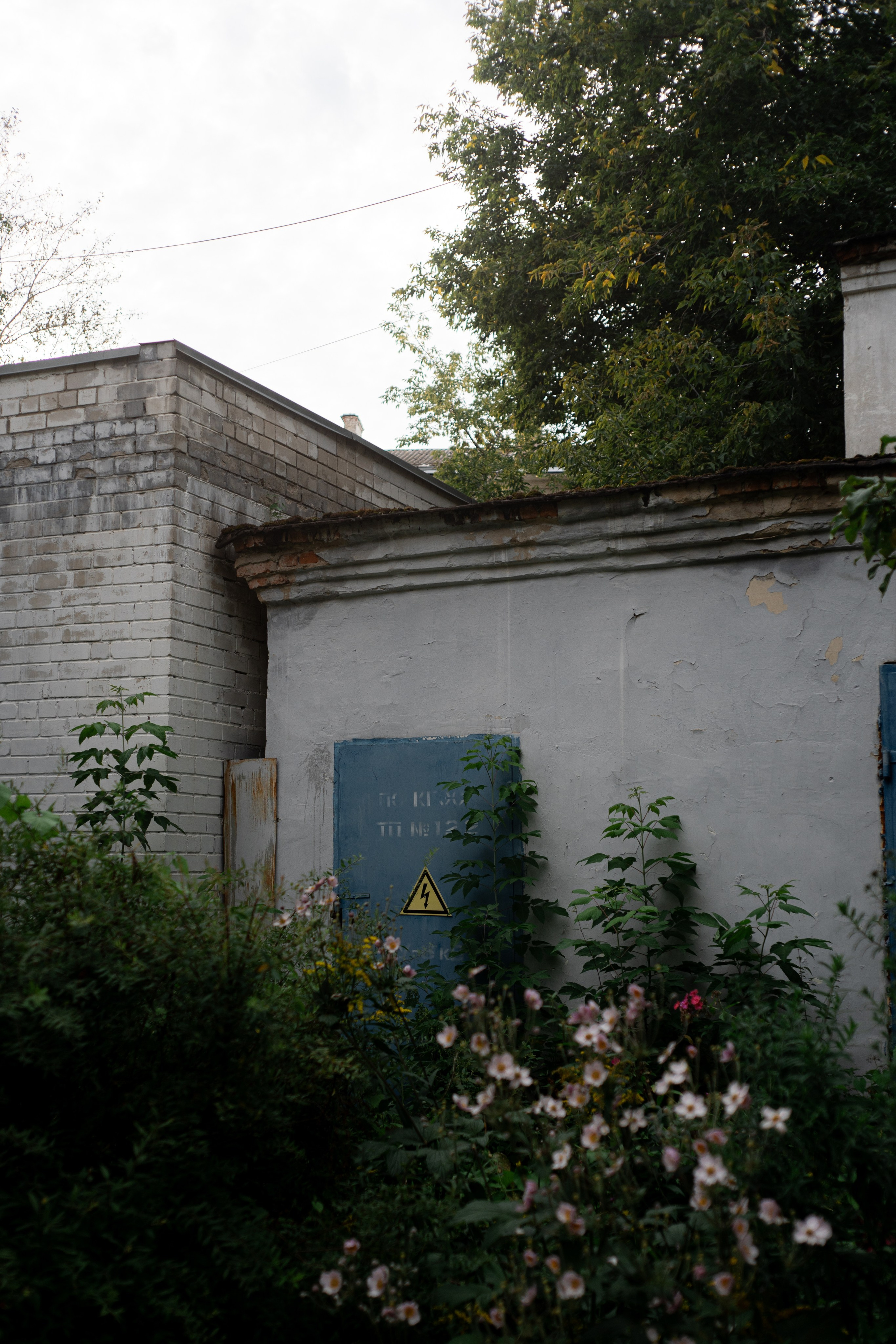 Городская суета. Vlad Trykov
