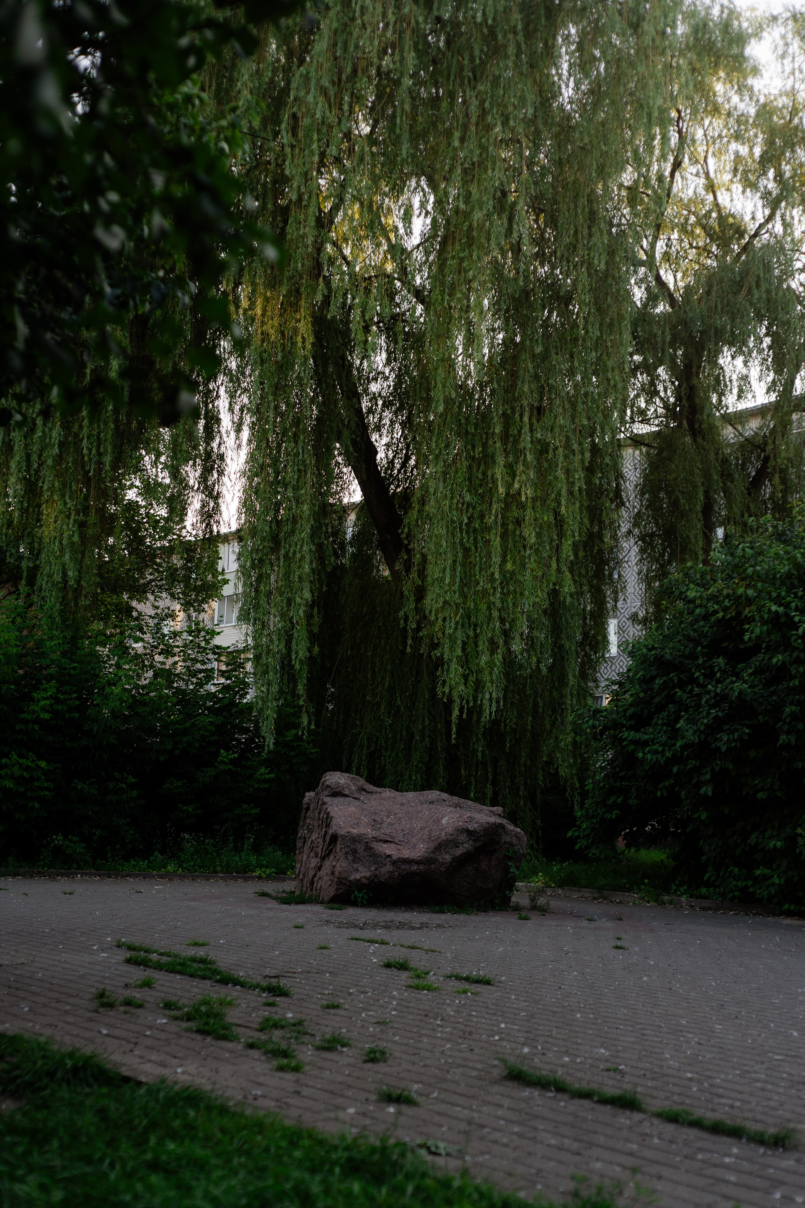 Городская суета. Vlad Trykov