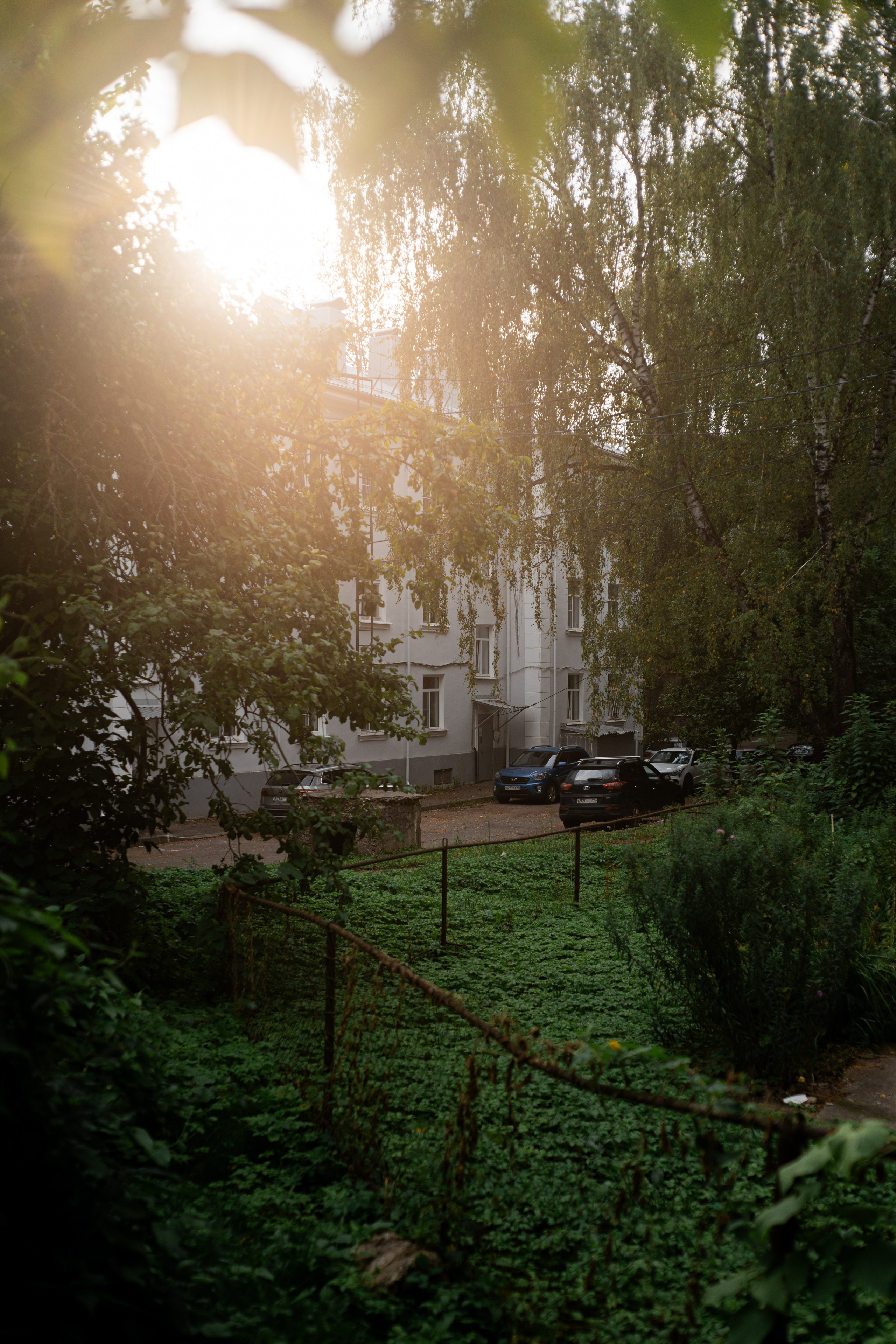 Городская суета. Vlad Trykov