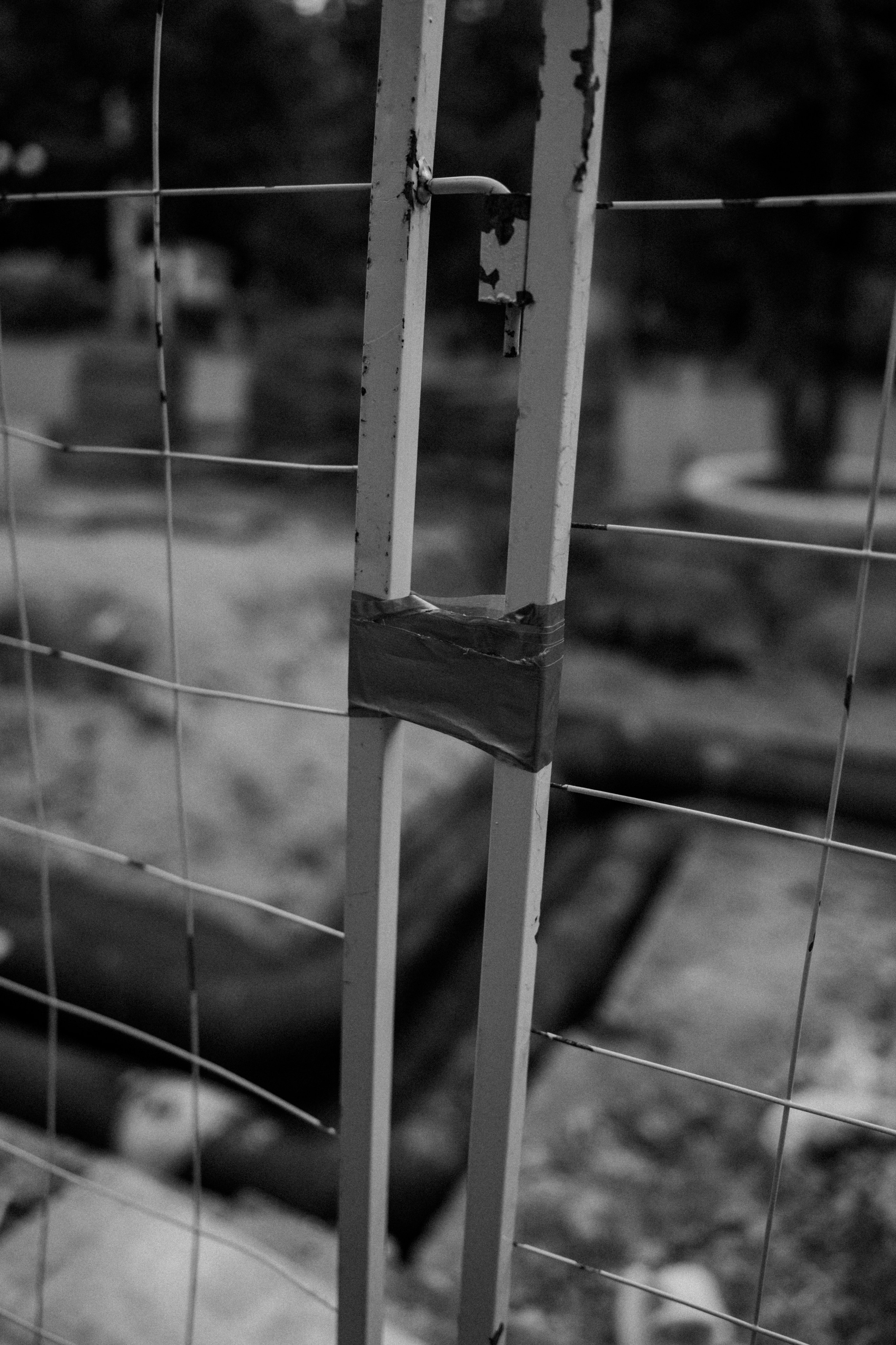 Городская суета. Vlad Trykov