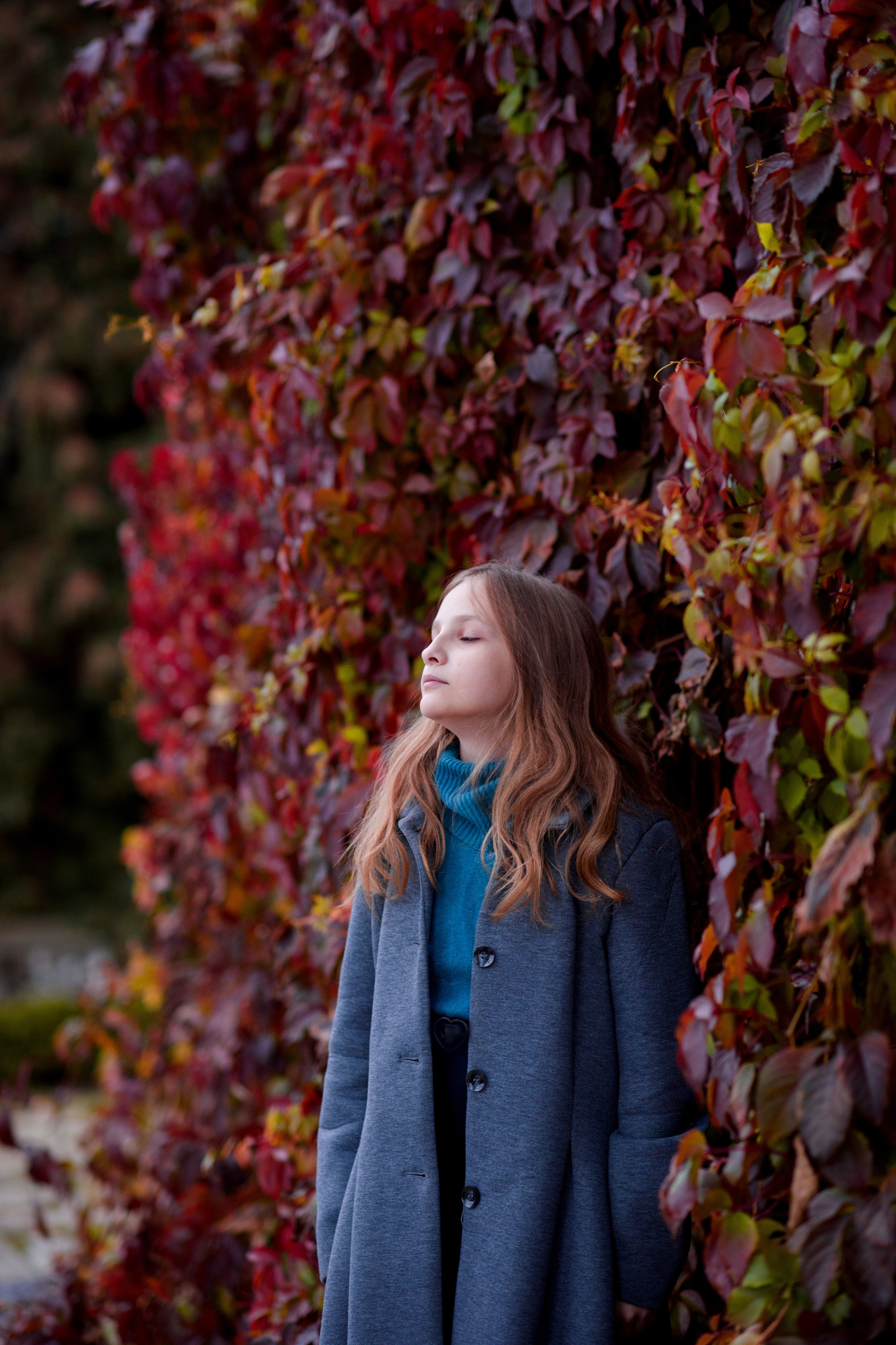 Фотосессия на фоне красного дикого винограда. Главная